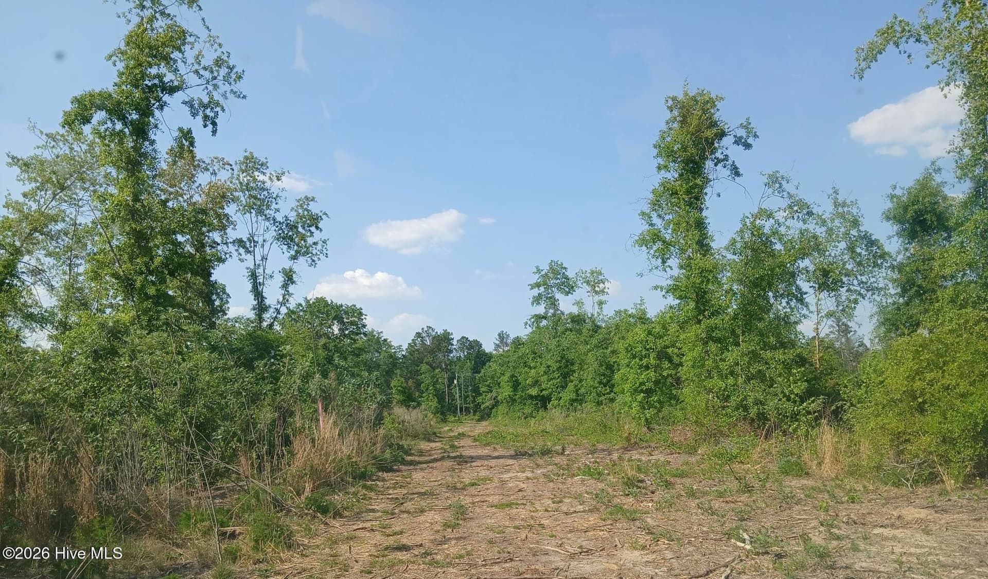 1570 Hephzibah - Mcbean Road, Hephzibah, GA 30815