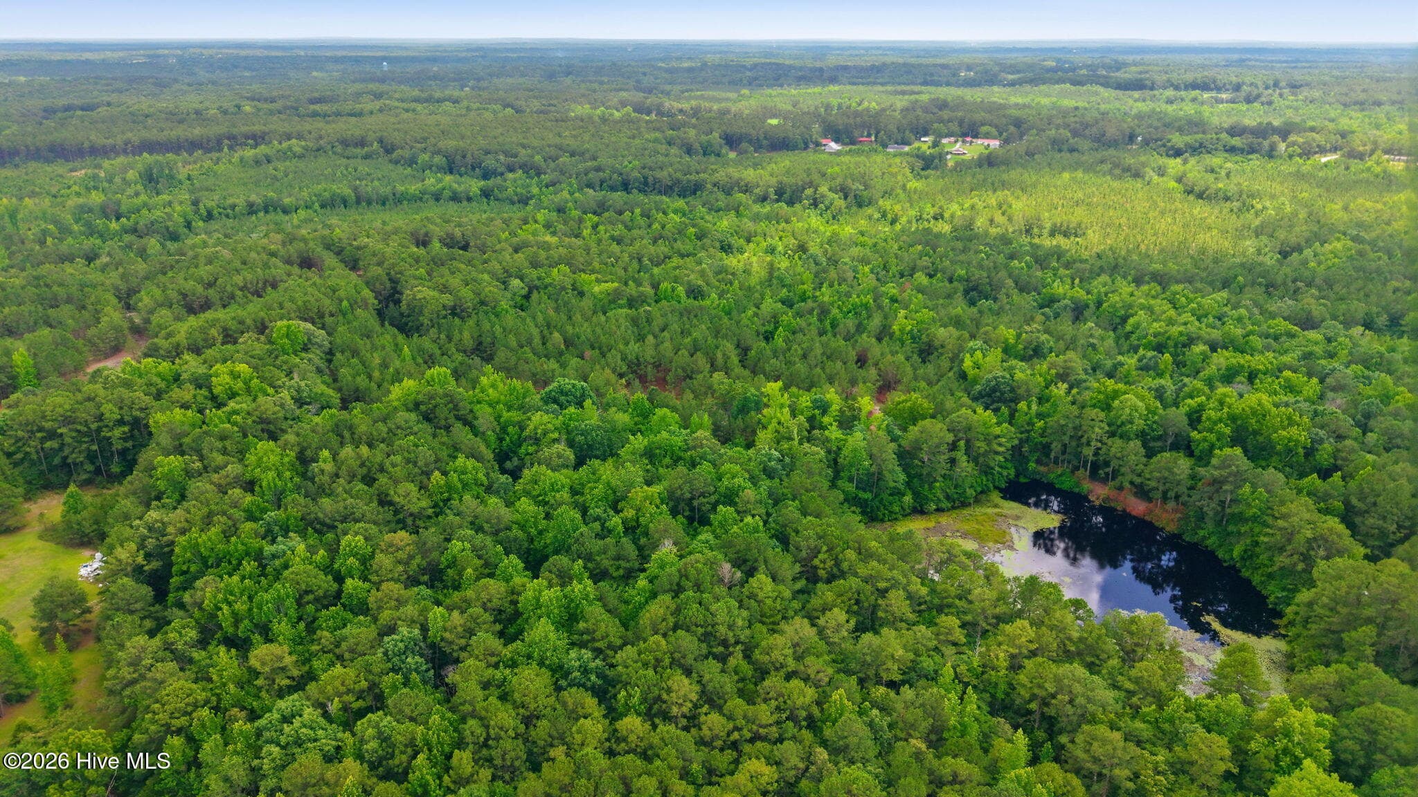 Wooded at 329 Cypress Farm Road, Cameron, NC 28326, photo 9 of 13