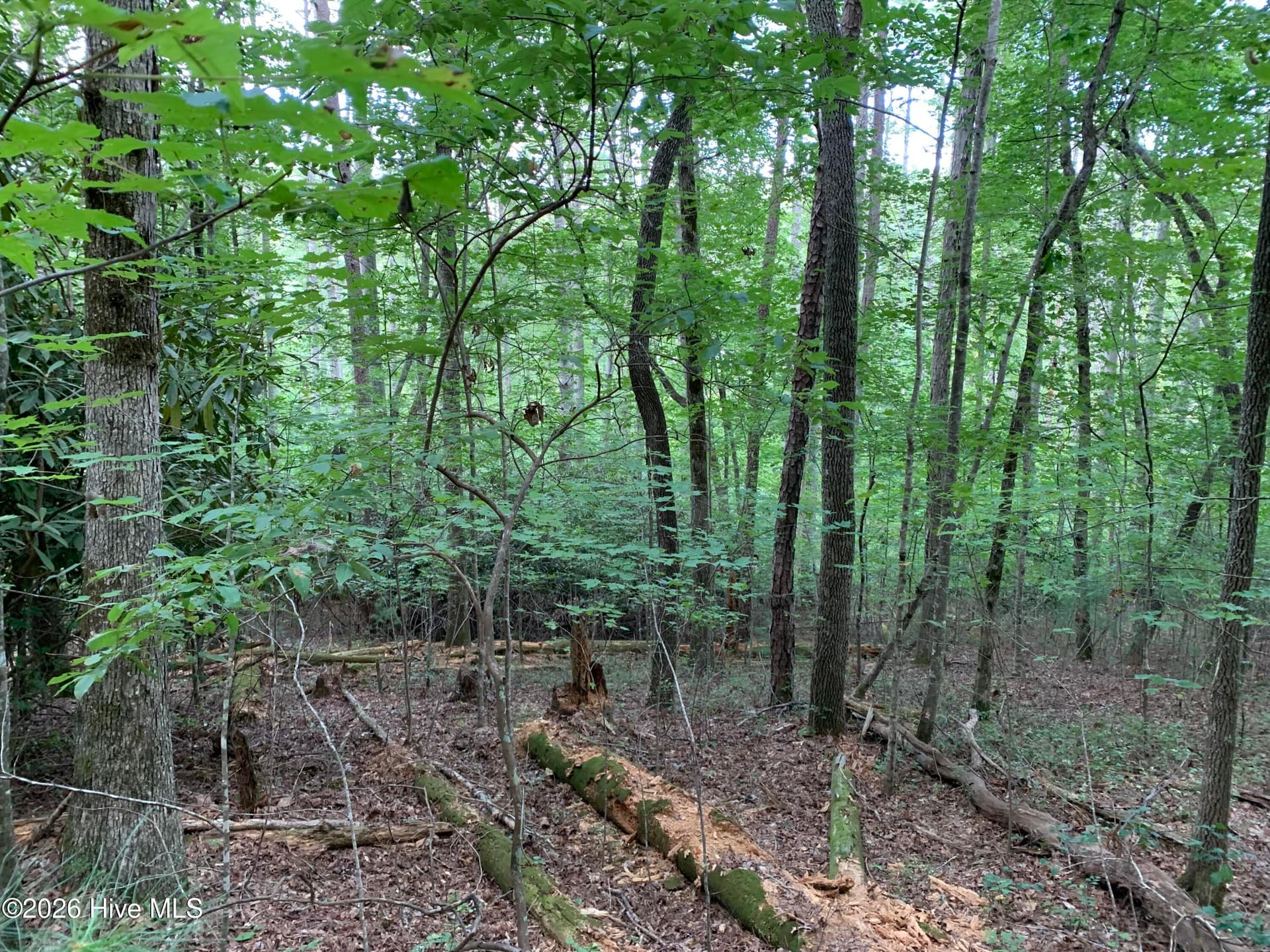 Wooded at 2.87 Ac Hedden Road, Murphy, NC 28906, photo 6 of 14