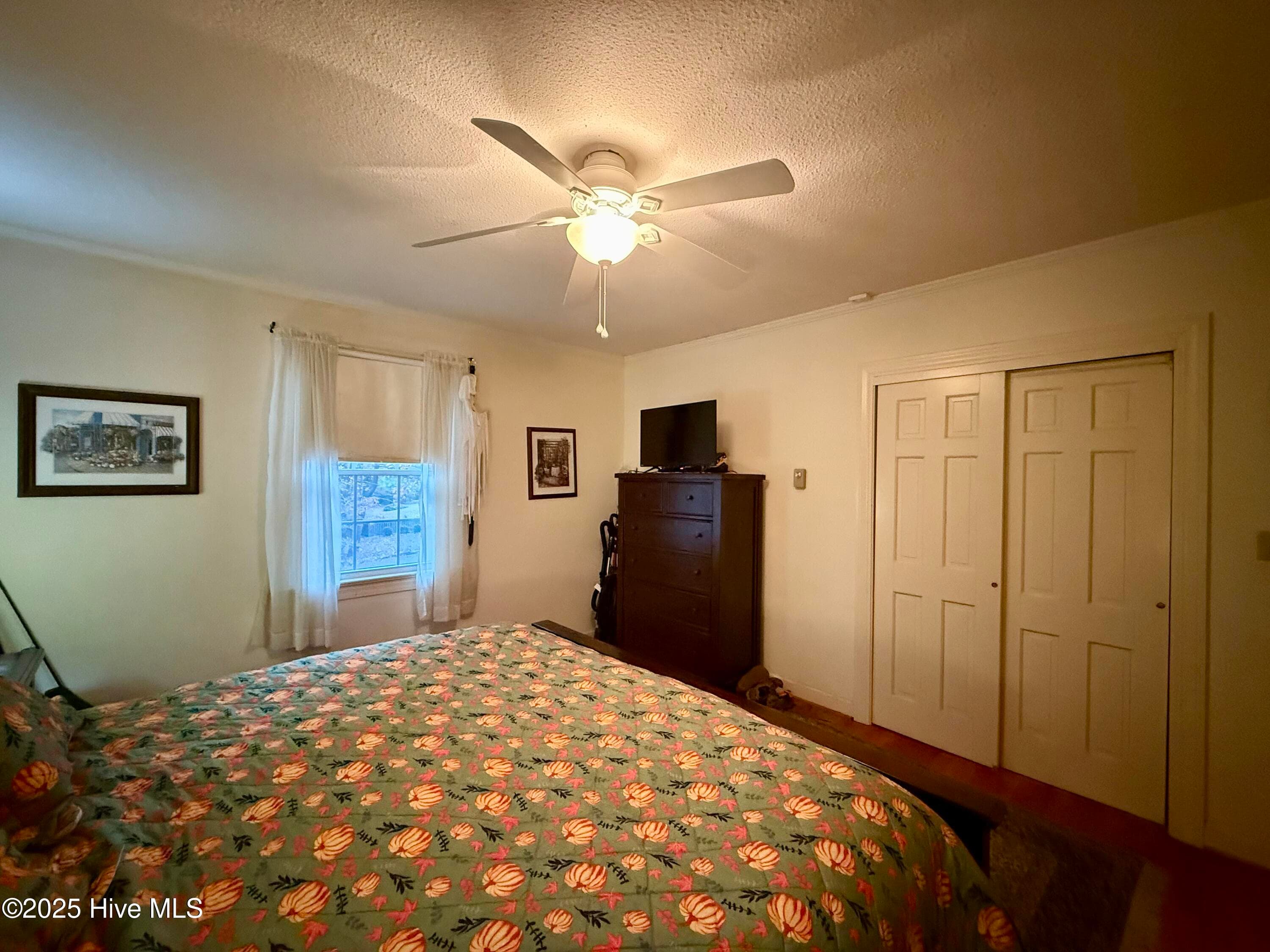 Single Family Residence at 903 E Woodlawn Drive, Williamston, NC 27892, Williamston, photo 6 of 6