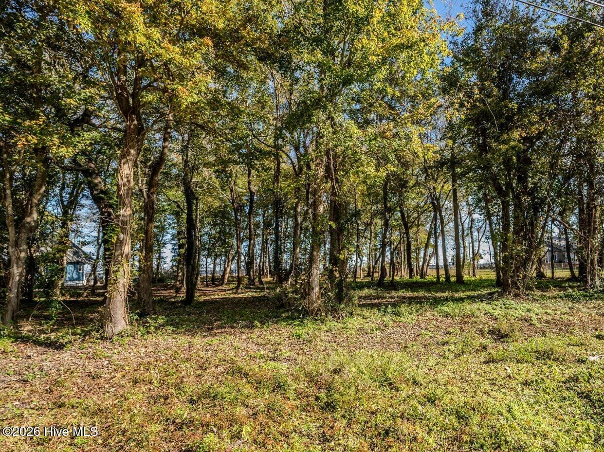 Residential Land at 137-140 137-140 Near 3461 Waccamaw Road S, Lake Waccamaw, NC 28450, photo 16 of 17