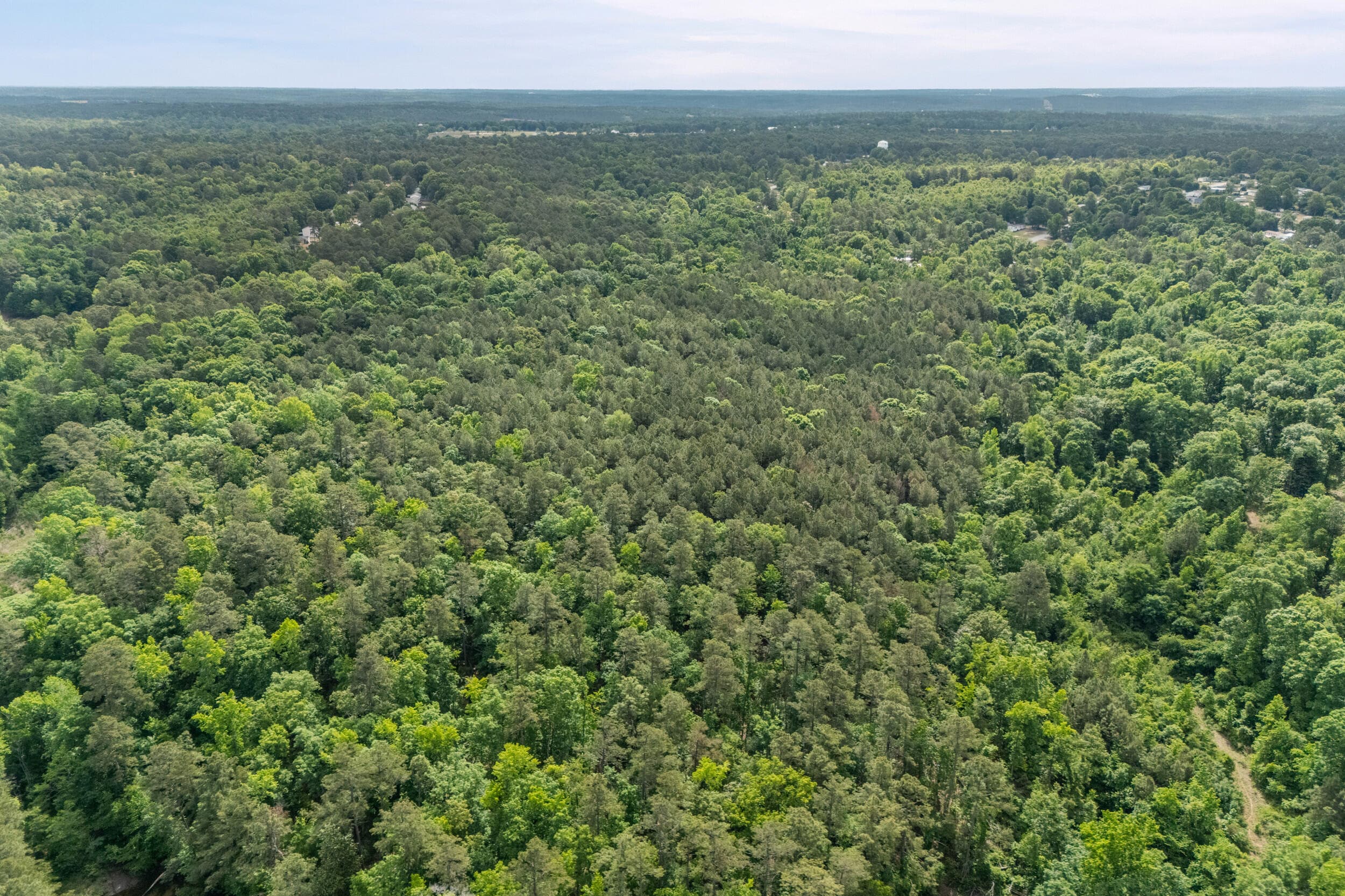 Agriculture at 0 Graystone Drive, Beech Island, SC 29842, photo 13 of 14