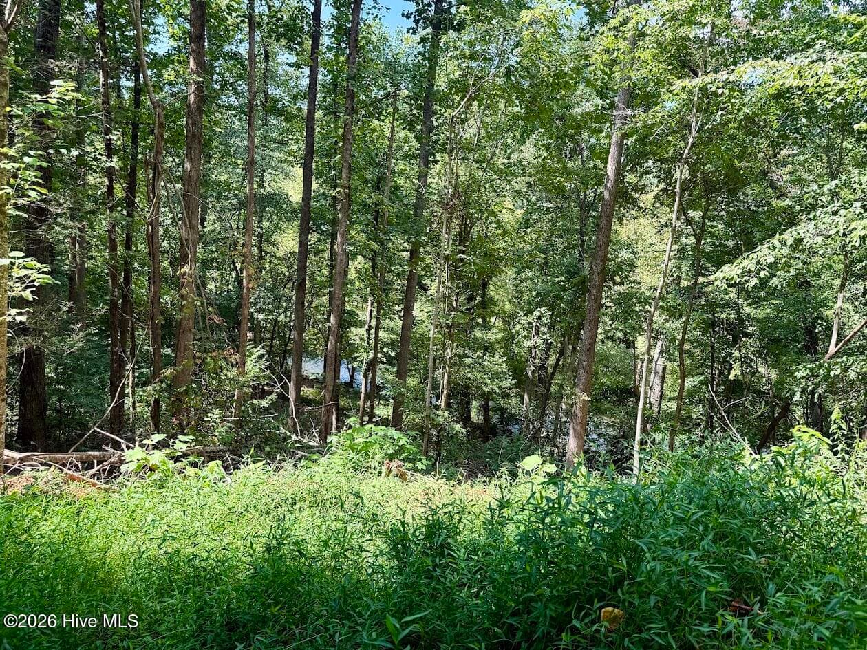 Residential Lot at Lots 5 & 6 Jasmine Drive, Marble, NC 28905, photo 17 of 23