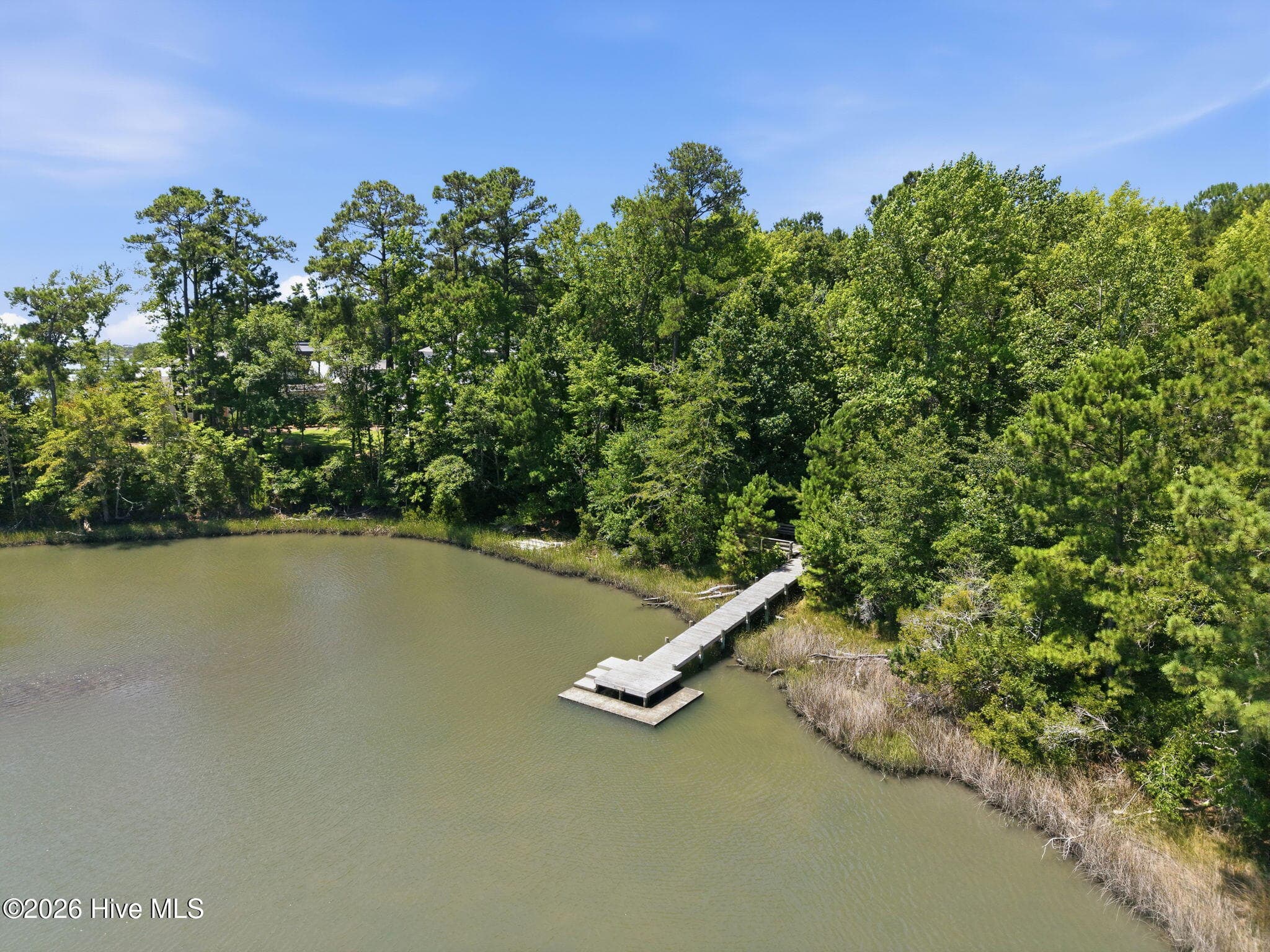 Wooded at 135 Hydrangea Lane, Hampstead, NC 28443, photo 10 of 10