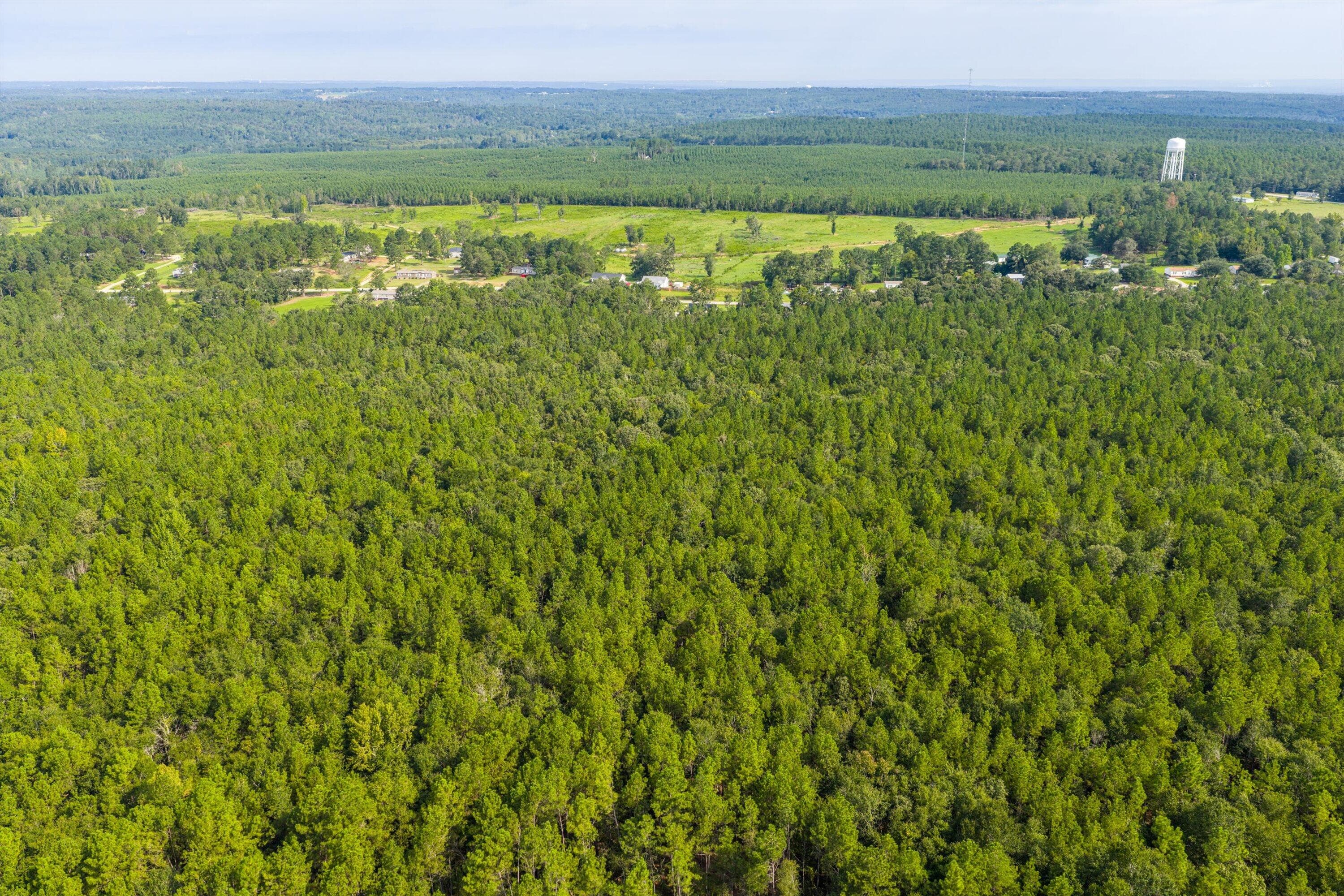 1503 Hephzibah - Mcbean Road, Hephzibah, GA 30815