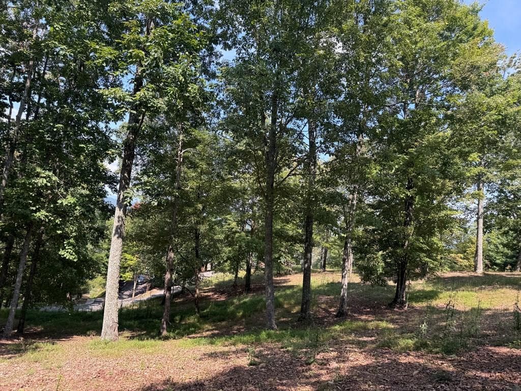 123 Madison Lane, Murphy, NC 28906