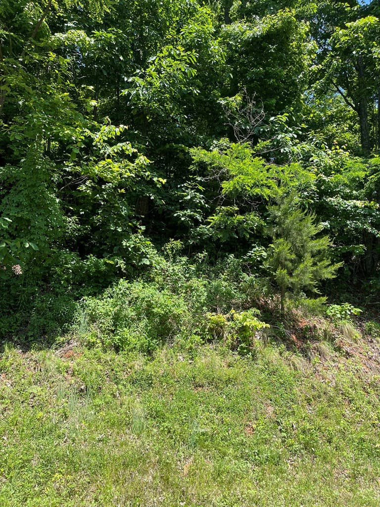 Residential Lot at Lot 33b 33B Grandview Drive, Hayesville, NC 28904, Hayesville, photo 6 of 8