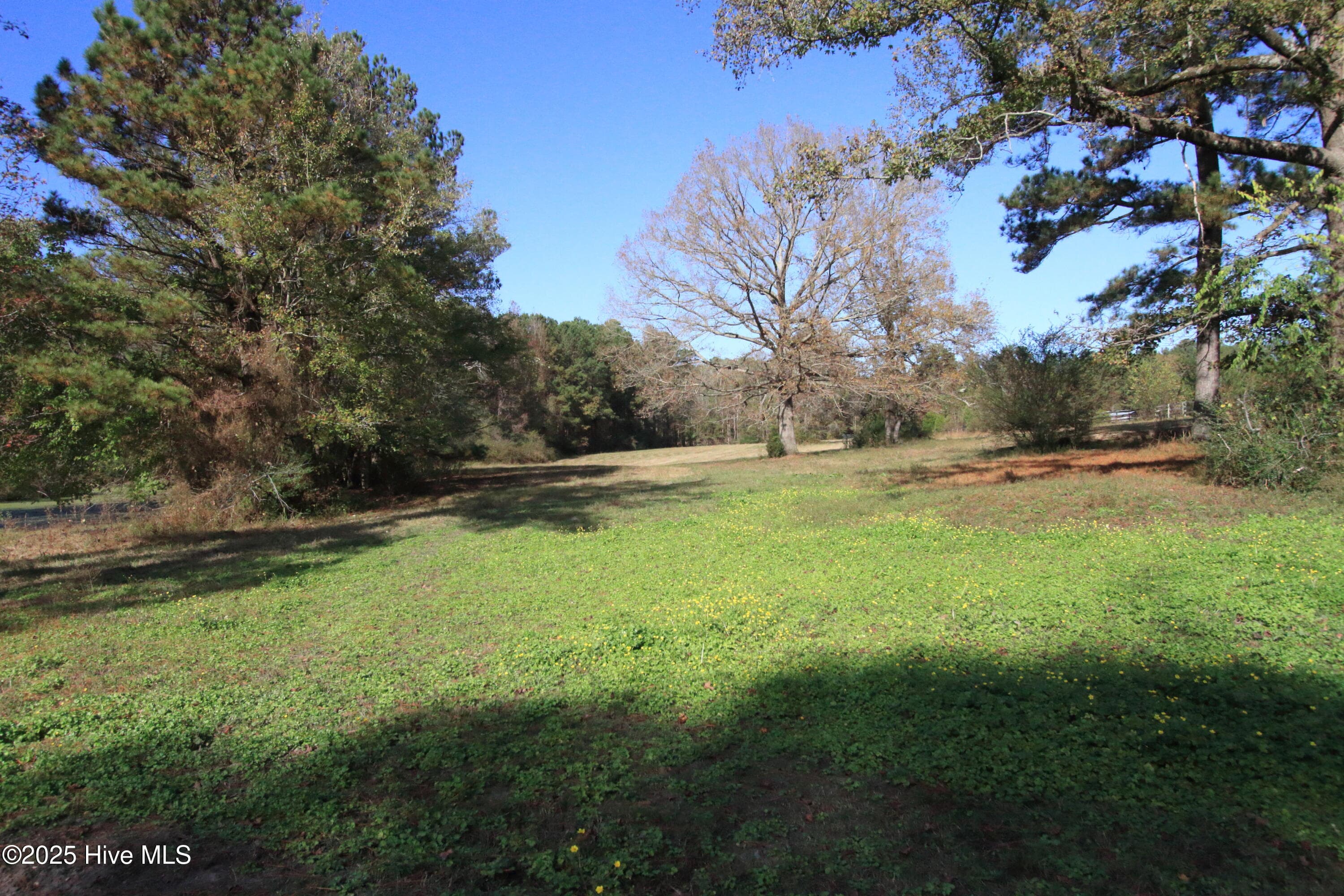 0 Cedar Lane Road, Sanford, NC 27332