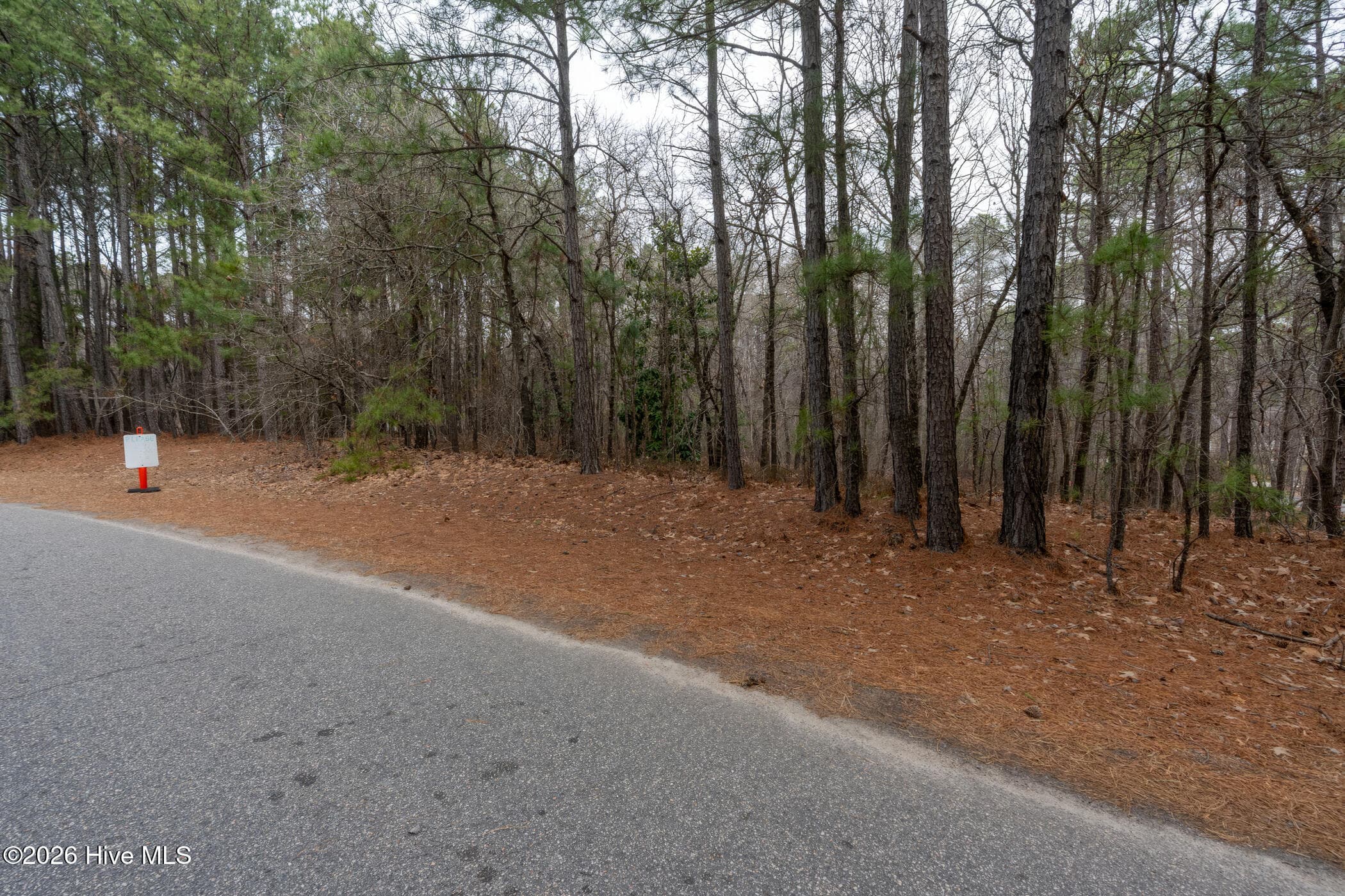 Residential Lot at 102 Ramsgate Court, Seven Lakes, NC 27376, photo 4 of 11