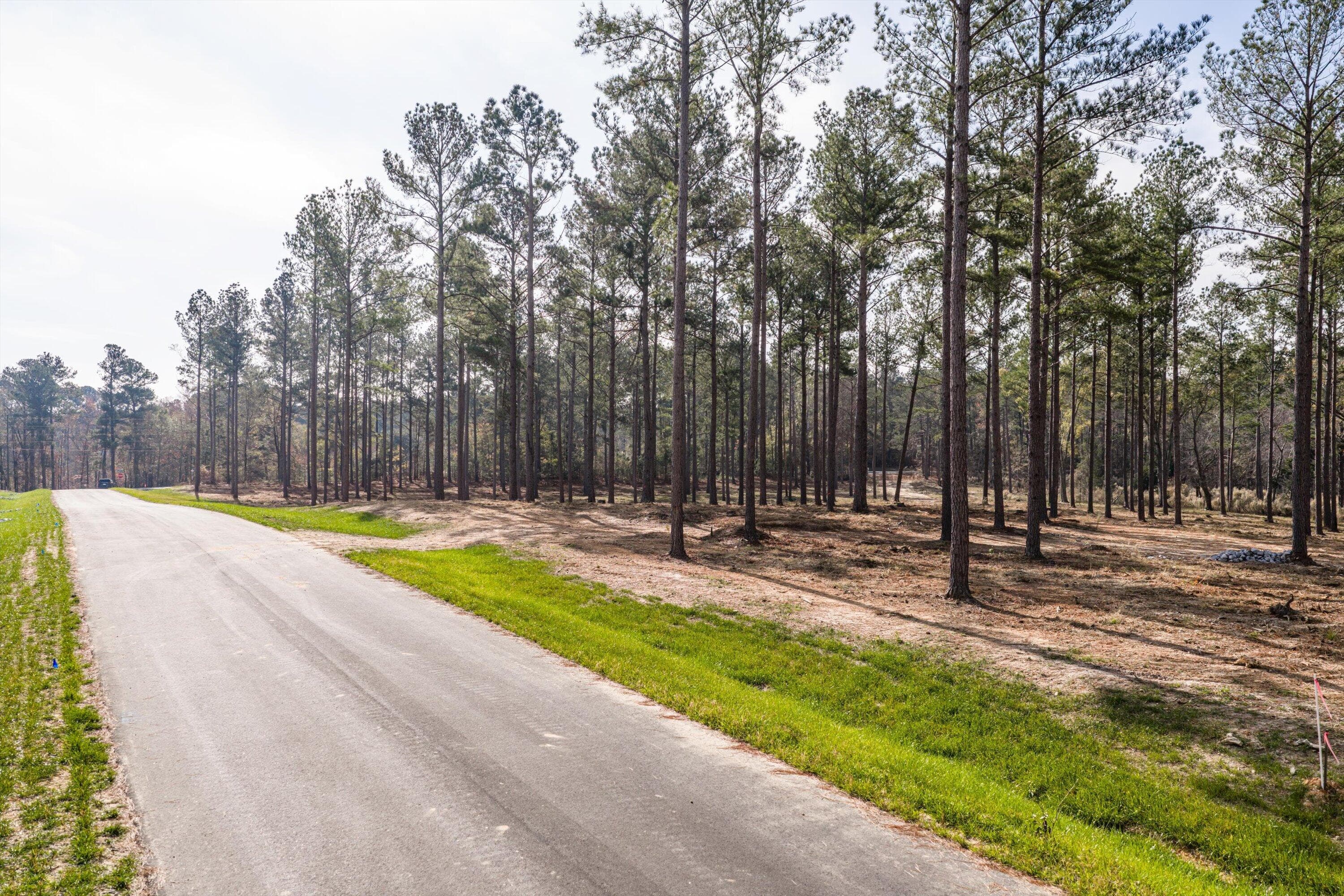 Residential Lot at 128 Beagle Chase Drive, Appling, GA 30802, photo 5 of 7