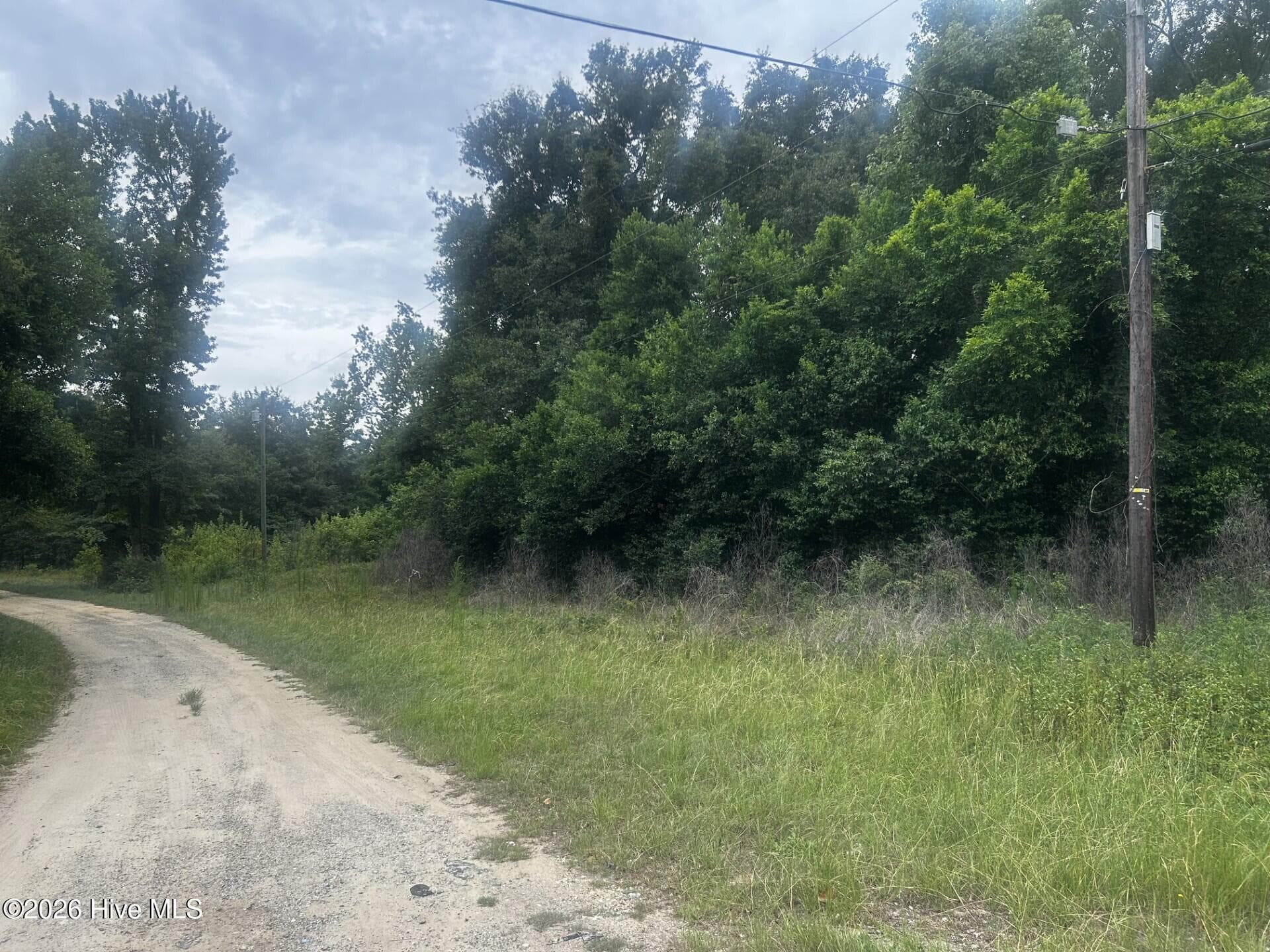 Wooded at 003 S 22nd Avenue, Dillon, SC 29536, Dillon, photo 2 of 3