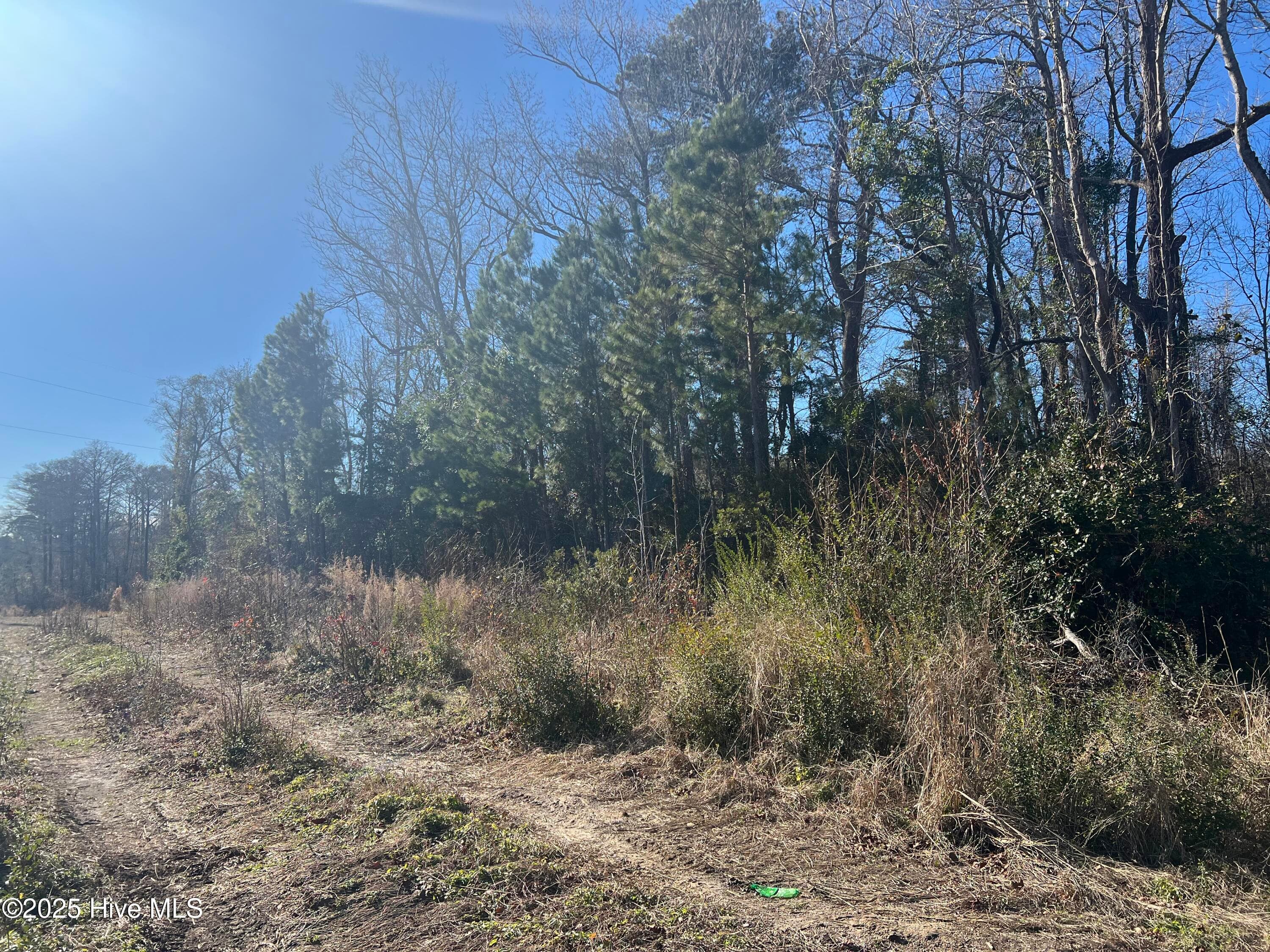 Residential Lot at 383 Ocean Highway E, Supply, NC 28462, photo 3 of 6