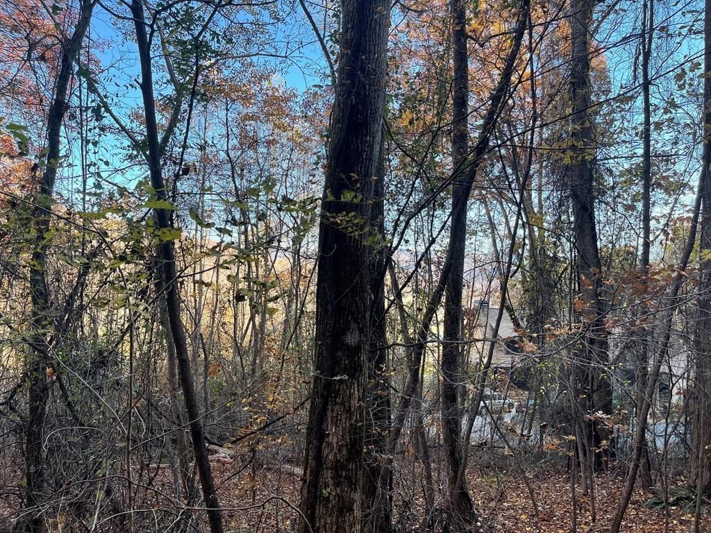 Lot 51j 51J Indian Trail, Hayesville, NC 28904