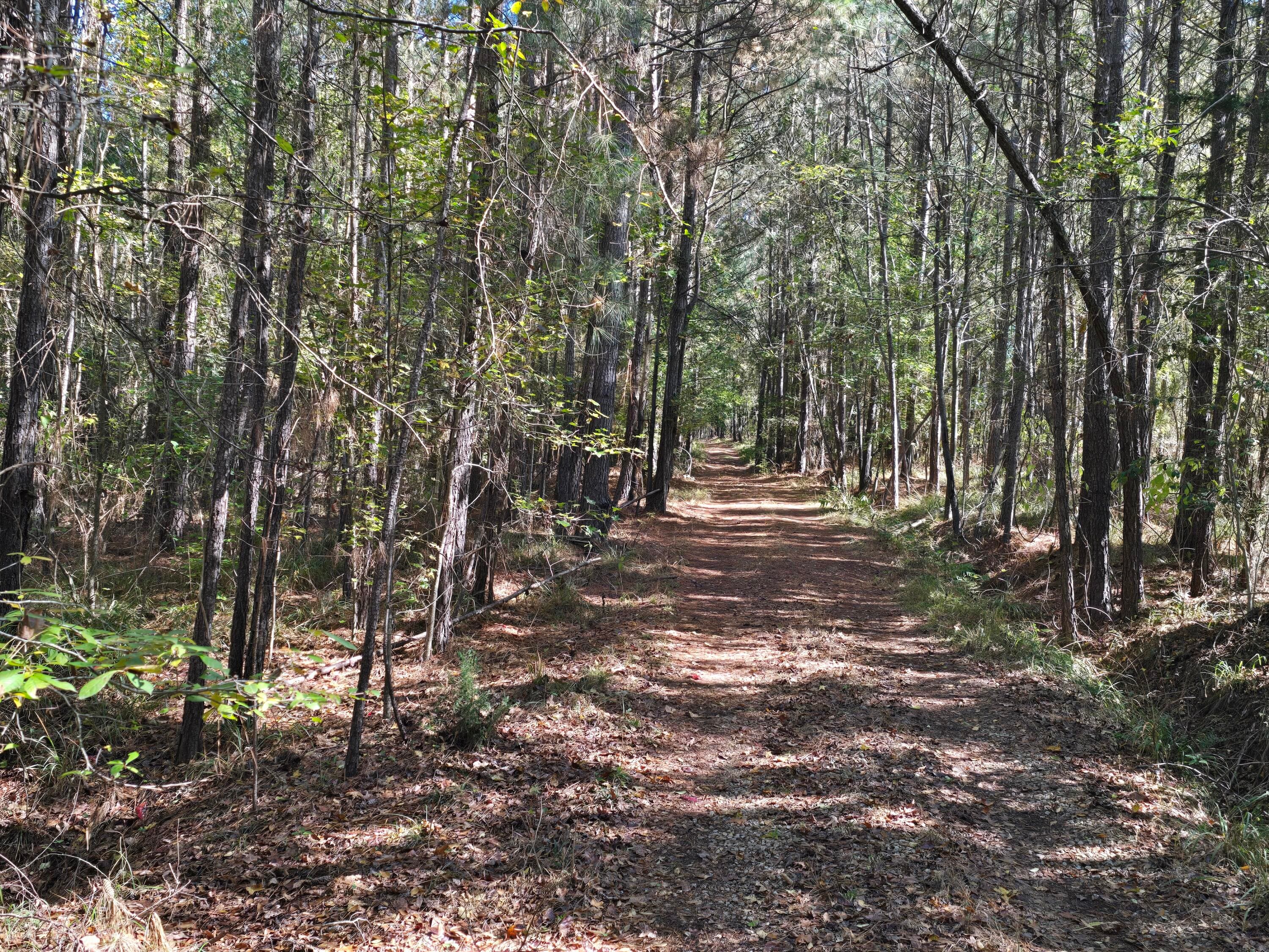 Mixed Use at 7501 Rainey Morris Road, Appling, GA 30802, photo 32 of 47