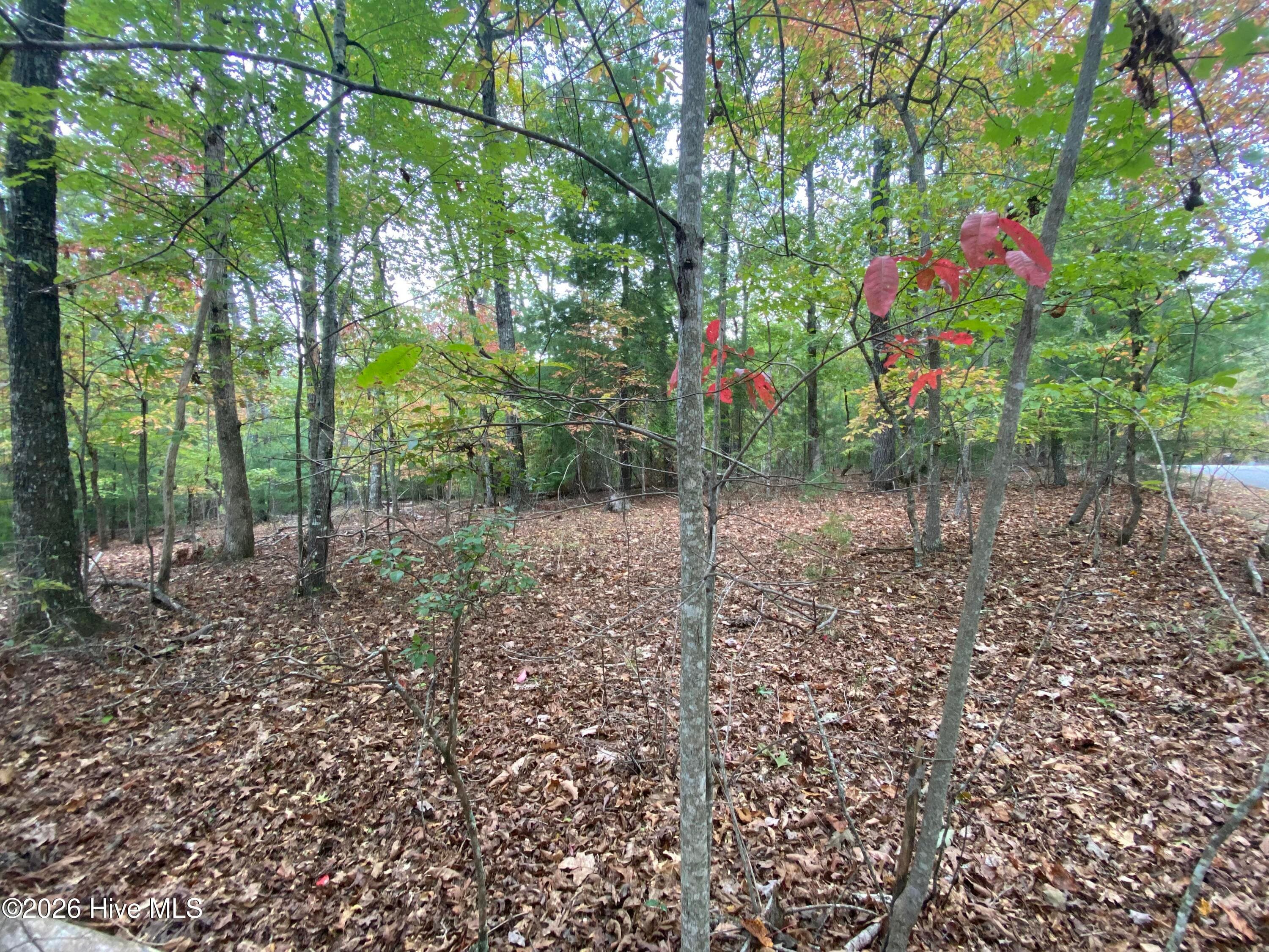 Wooded at 14 14 Mission Ridge, Hayesville, NC 28904, Hayesville, photo 9 of 14