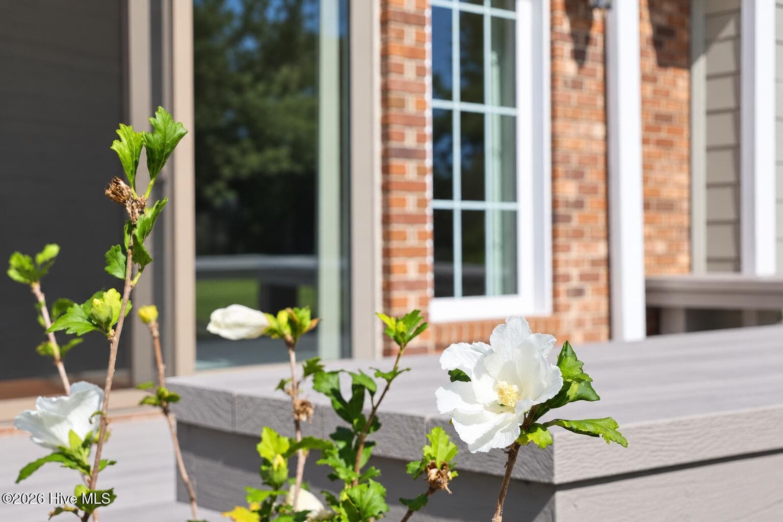 Single Family Residence at 107 Bogey Court, Hampstead, NC 28443, photo 55 of 55