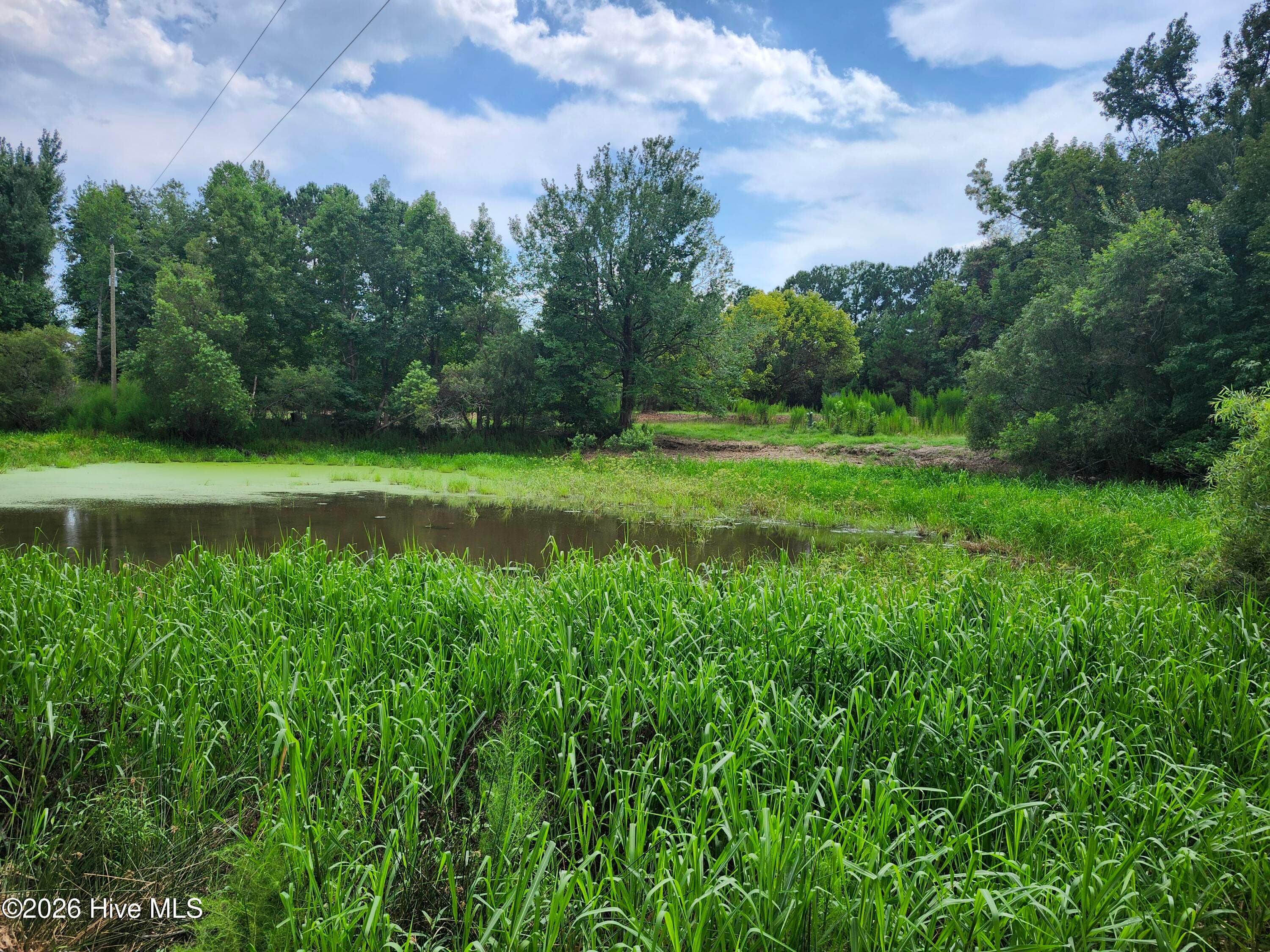 Wooded at 306 16 Revised Howards Landing Road, Hampstead, NC 28443, photo 6 of 17