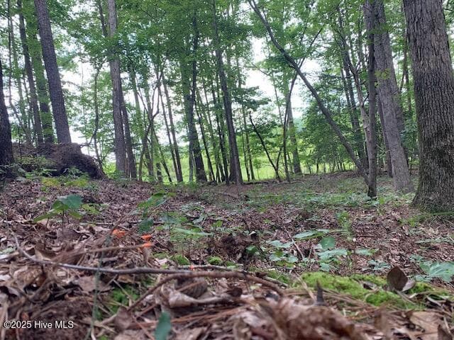 Residential Land at 54 54 Palomino Road, Carthage, NC 28327, photo 13 of 20