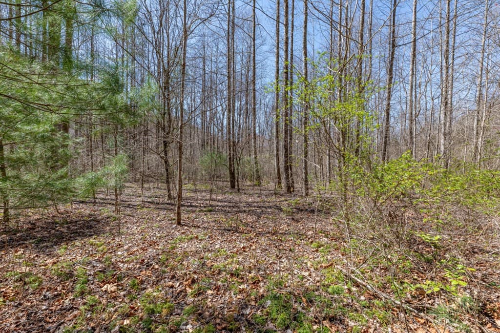 Land at Lots 12+ Tusquittee Crossing, Hayesville, NC 28904, Hayesville, photo 8 of 14