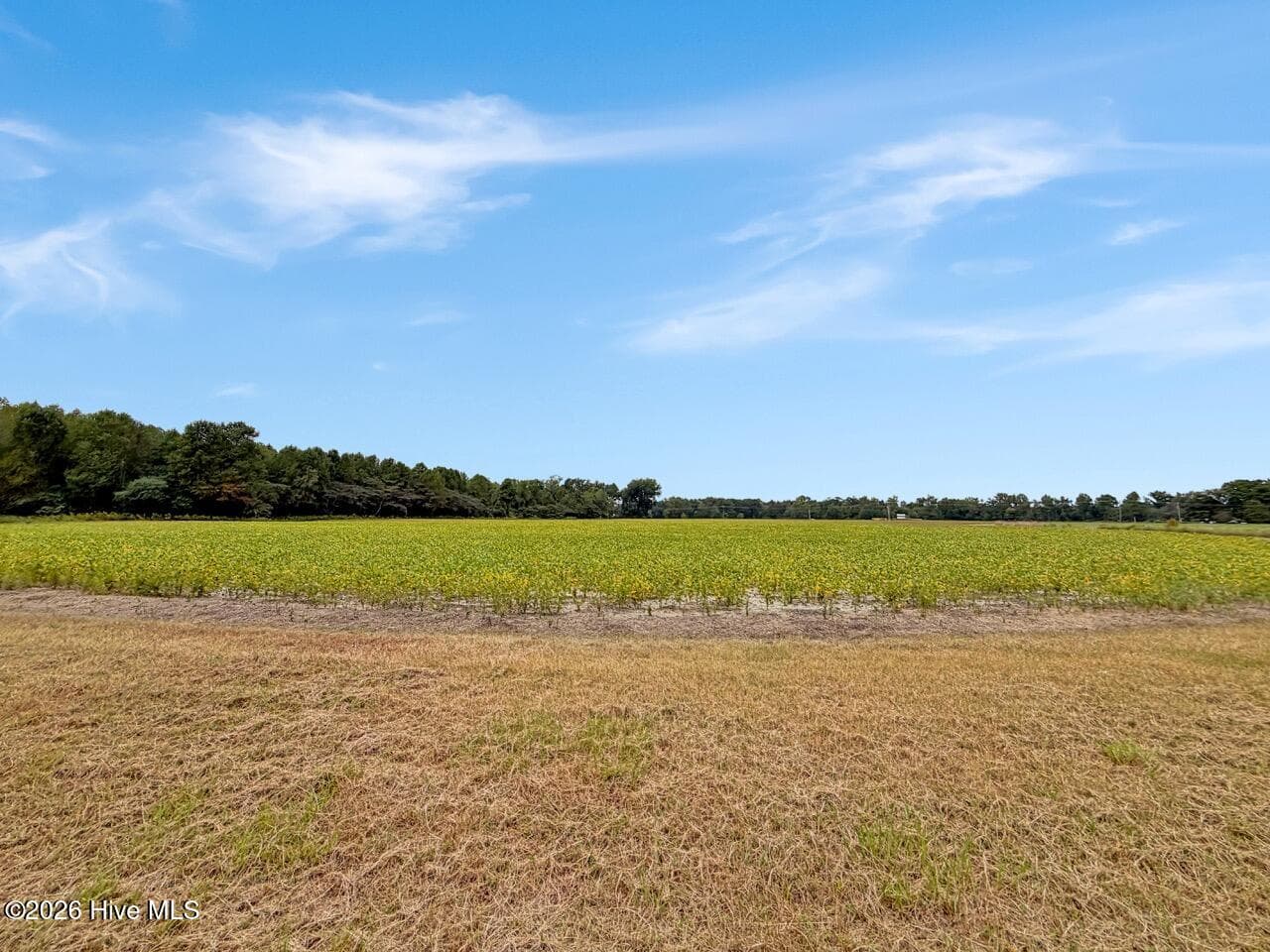 Single Family Residence at 1708 Nc Highway 45, Cofield, NC 27922, photo 55 of 86