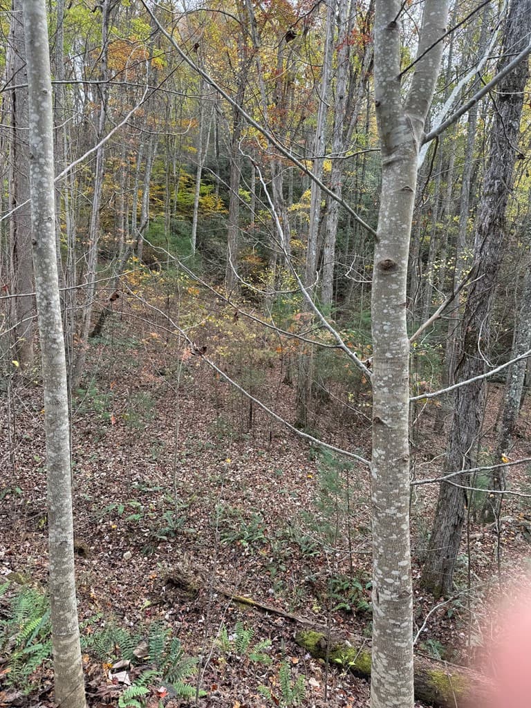 Residential Lot at 00 92 Heritage Trail, Murphy, NC 28906, photo 6 of 8