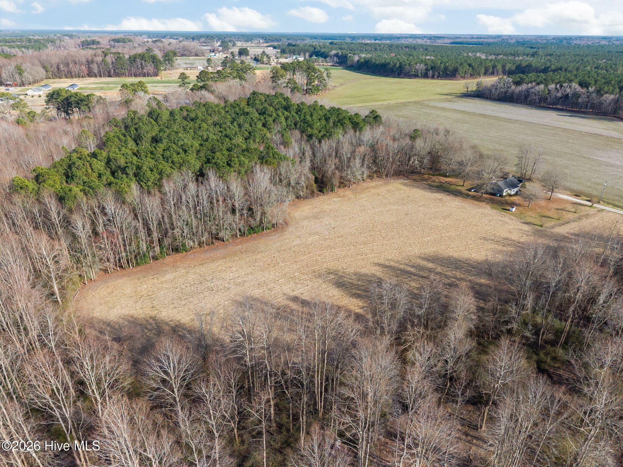Undeveloped at 5238 Us 17 Highway N, Washington, NC 27889, photo 7 of 14