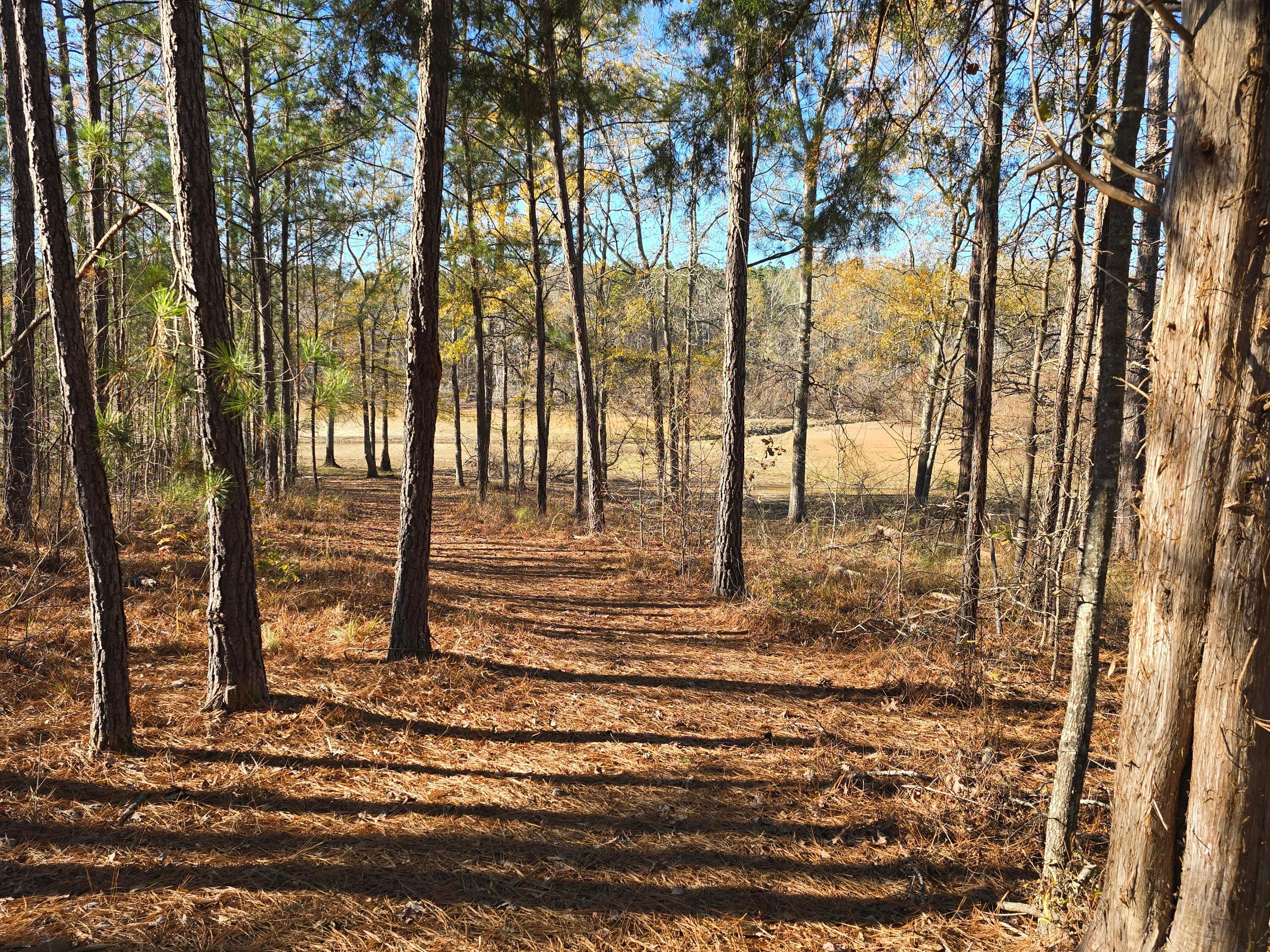 Residential Lot at 1102 Dogwood Drive, Lincolnton, GA 30817, photo 25 of 46