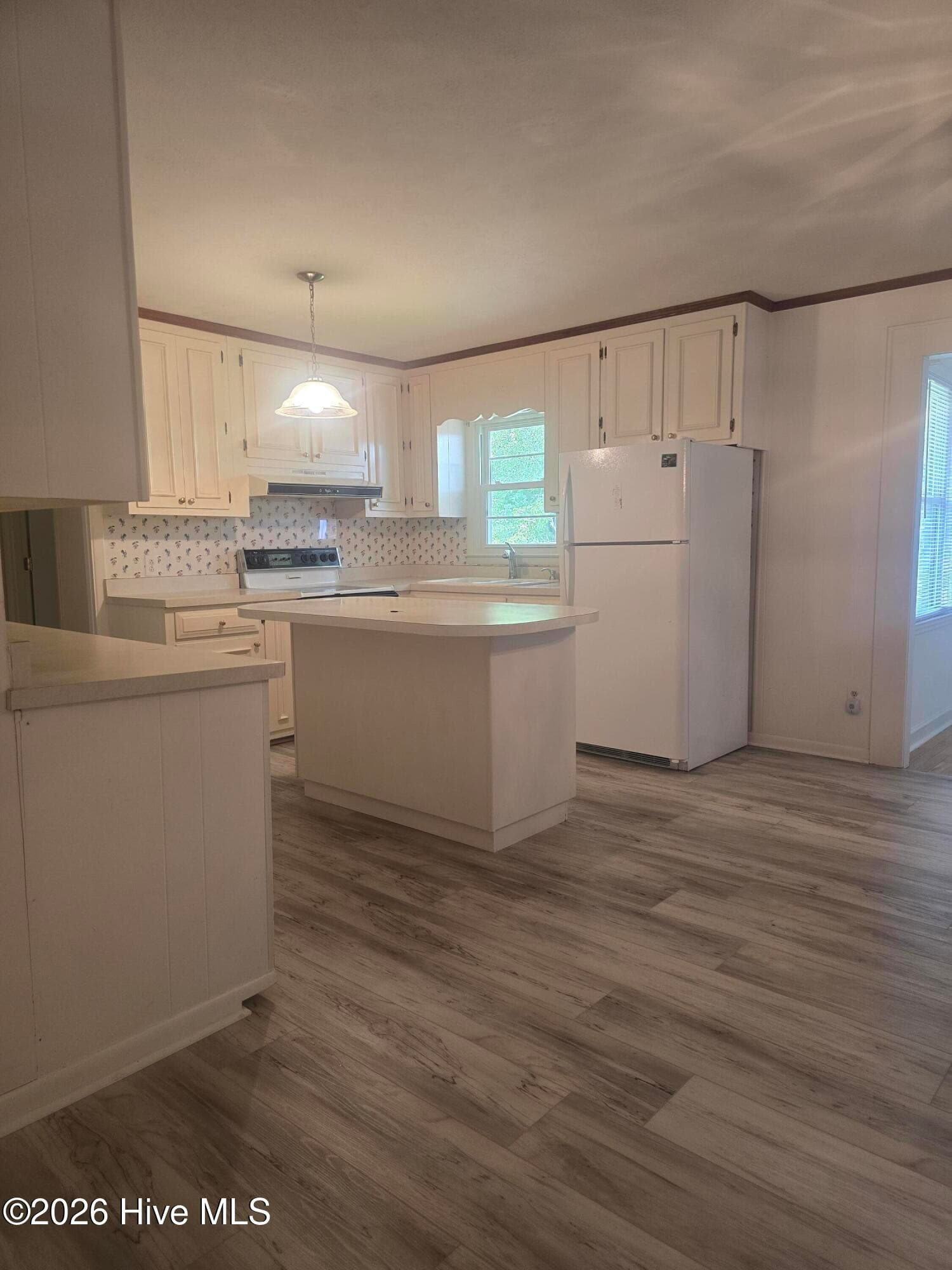 Single Family Residence at 214 E Bladen Street, Bladenboro, NC 28320, photo 28 of 67