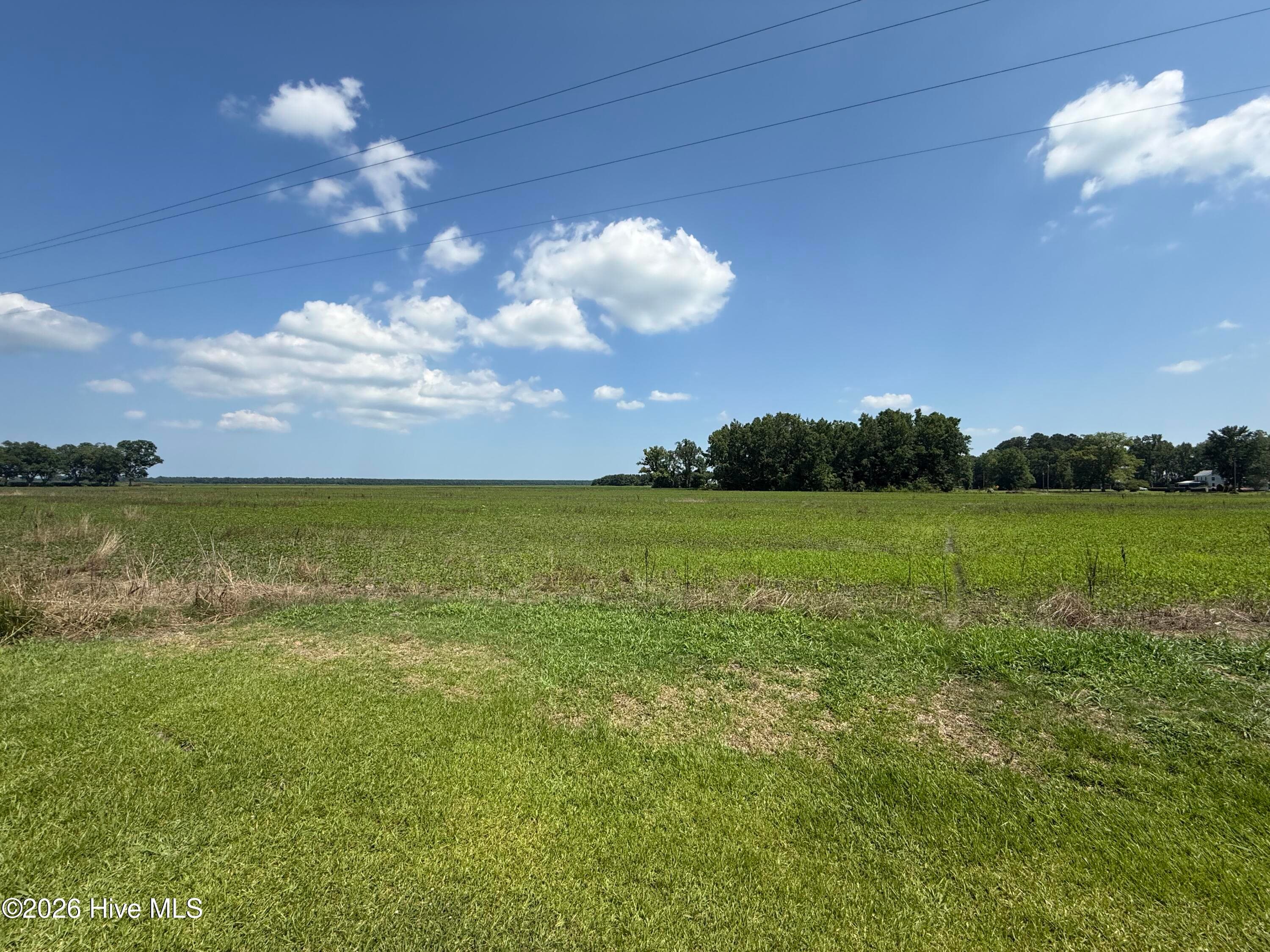 Agriculture at 0 Sr 1918 Road, Aurora, NC 27806, photo 6 of 6