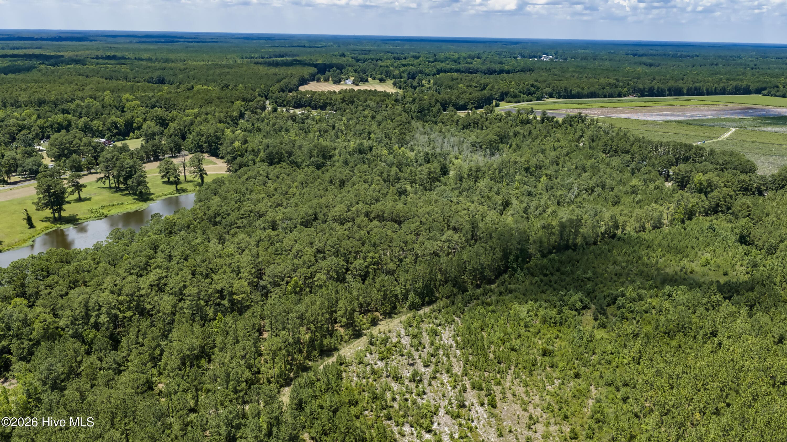 Undeveloped at 0 Clarks Landing Road, Rocky Point, NC 28457, photo 9 of 23