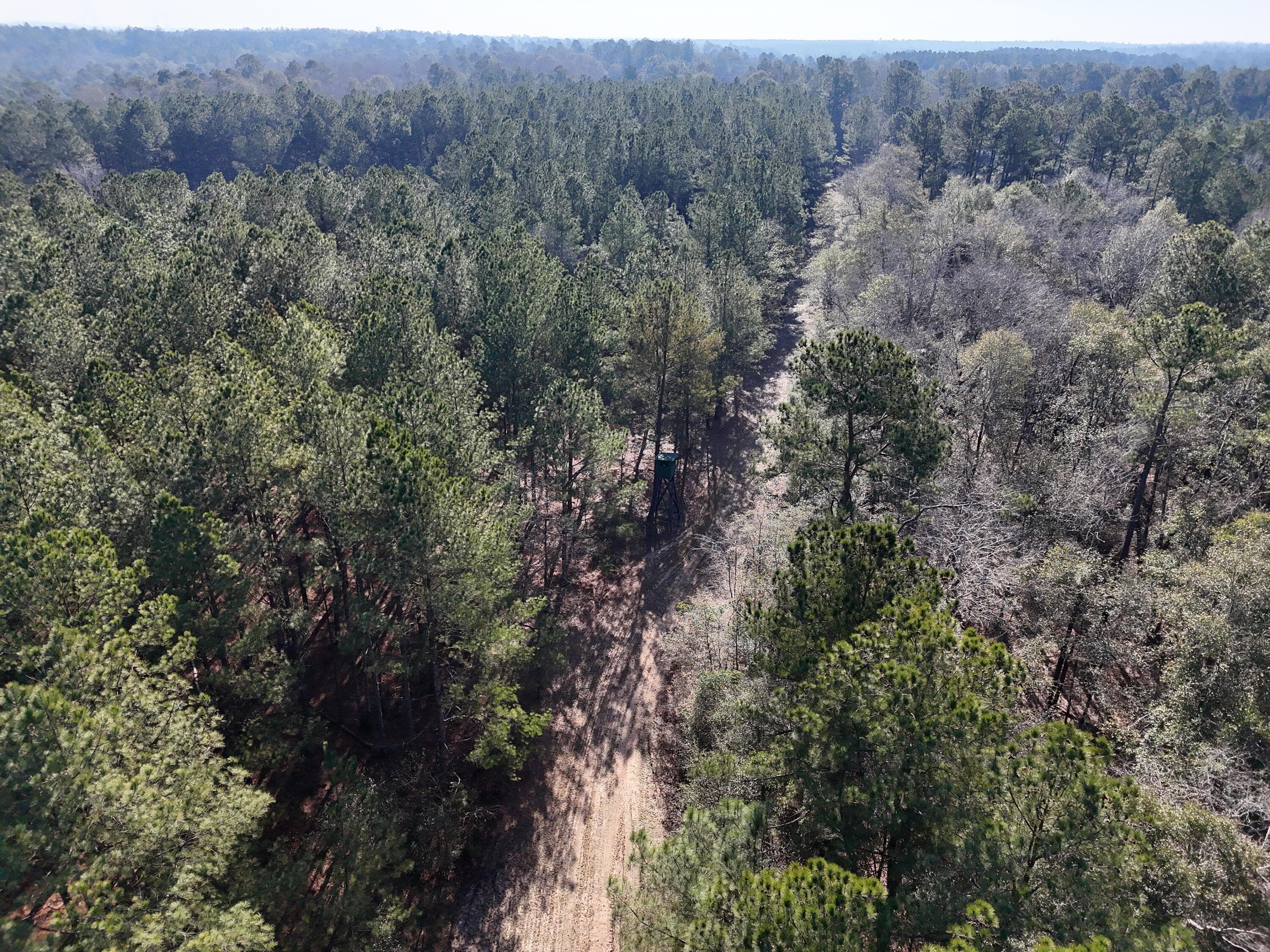 Undeveloped at 0 Ponderosa Road, Waynesboro, GA 30830, photo 15 of 45