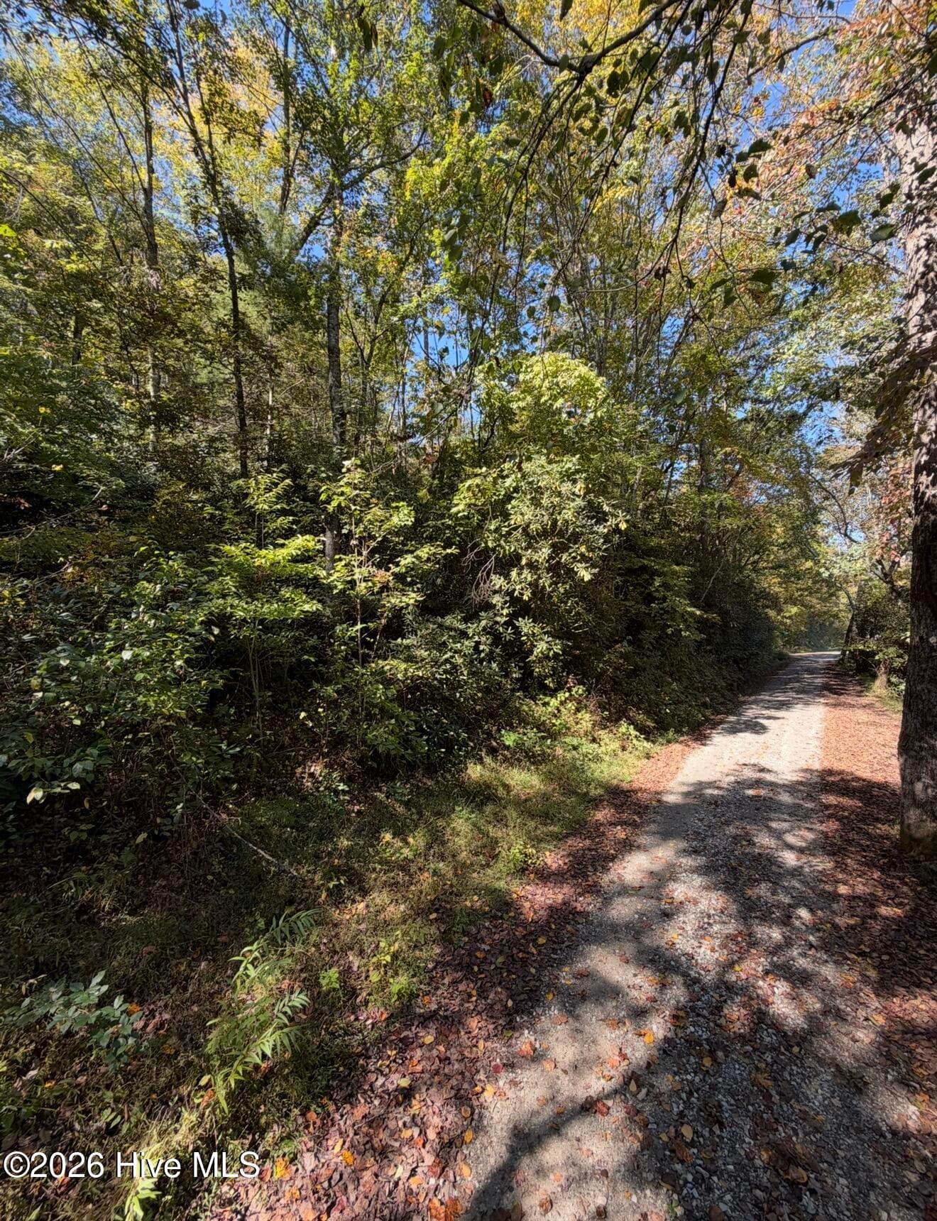Residential Lot at 2290 Healy Fields Road, Andrews, NC 28901, photo 4 of 7