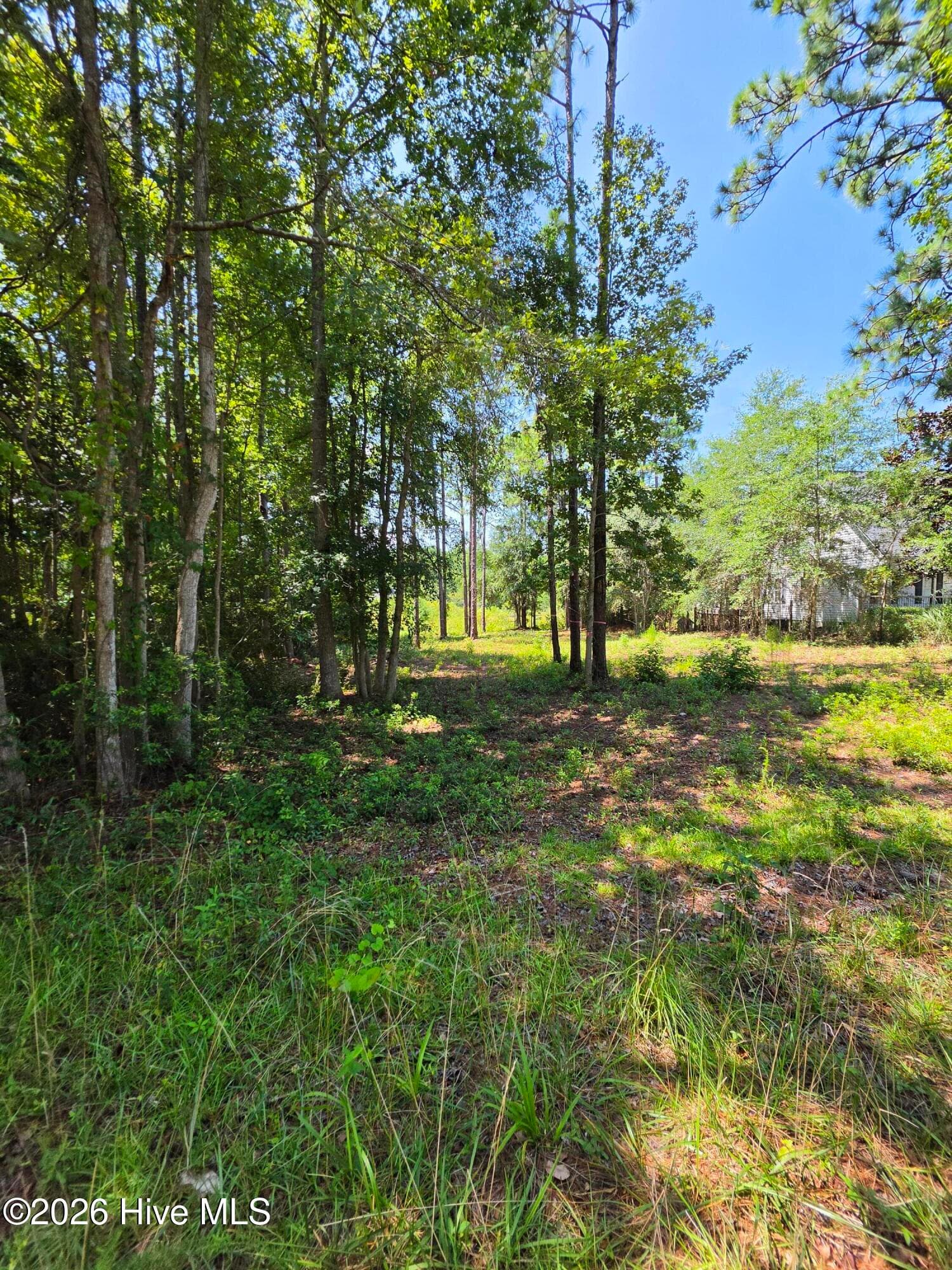 LOT 44 , PINE SHORES DRIVE - 44 Pine Shores Drive, Southport, NC 28461