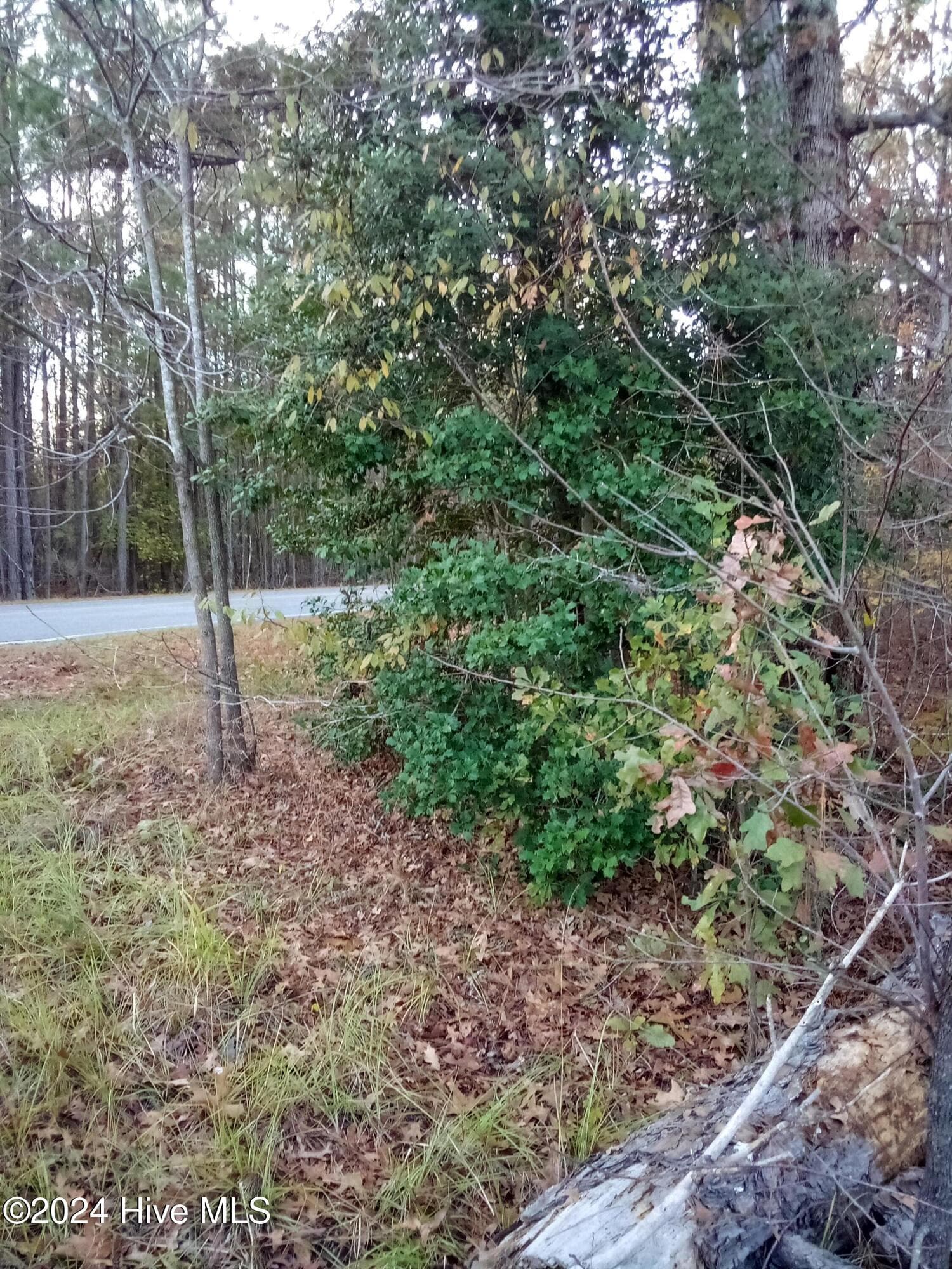 Lot #1 1 Stelleys Tabernacle Church Road, Rockingham, NC 28379