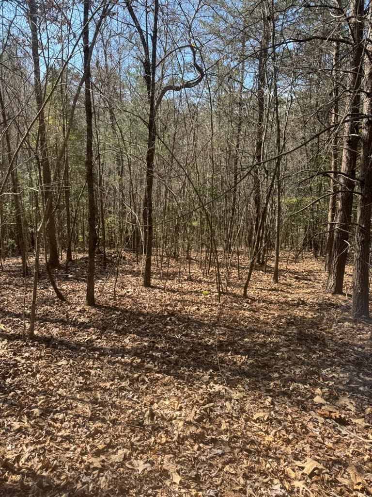 Residential Lot at 00 Blue Ridge Heights, Hayesville, NC 28906, Hayesville, photo 8 of 11