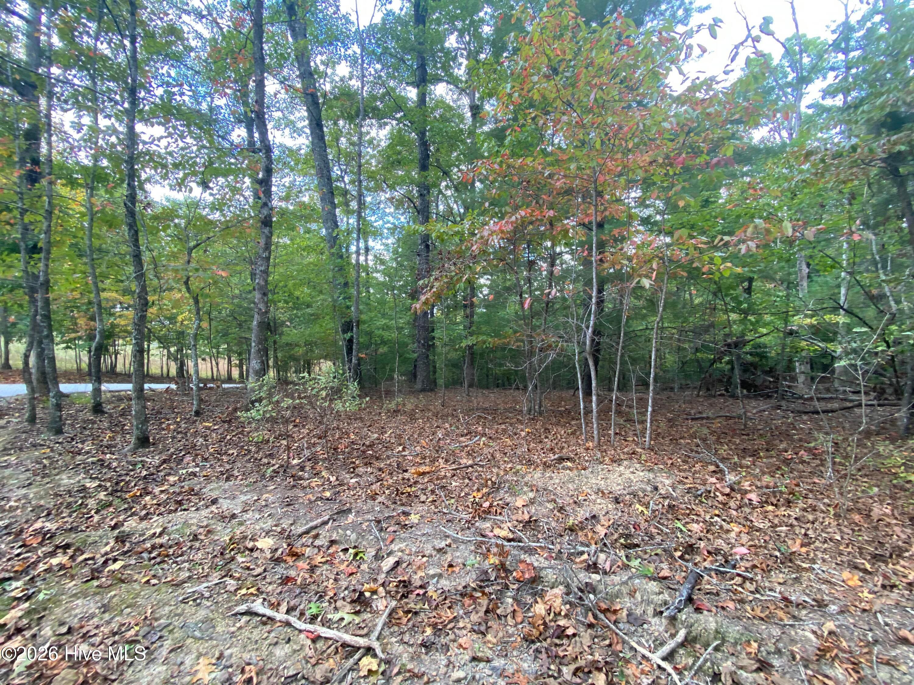 Wooded at 14 14 Mission Ridge, Hayesville, NC 28904, Hayesville, photo 13 of 14
