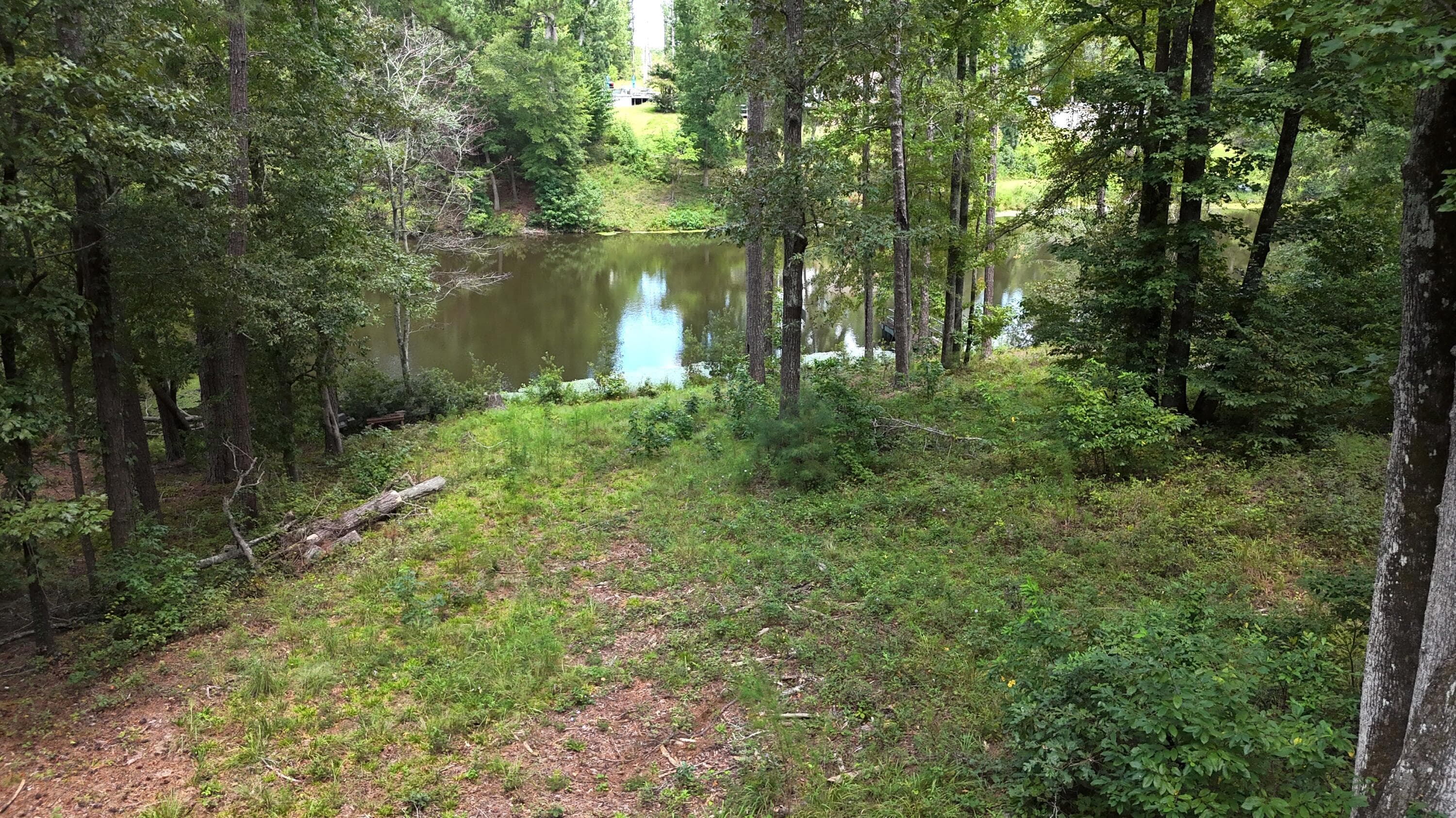 Residential Lot at 0 Hummingbird Drive, Trenton, SC 29847, photo 3 of 14