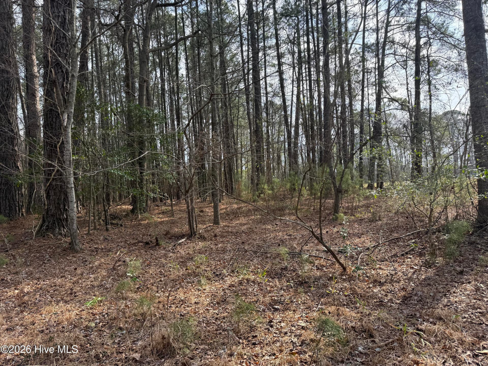 Mixed Use at 269 Creek Road, Bath, NC 27808, photo 5 of 21