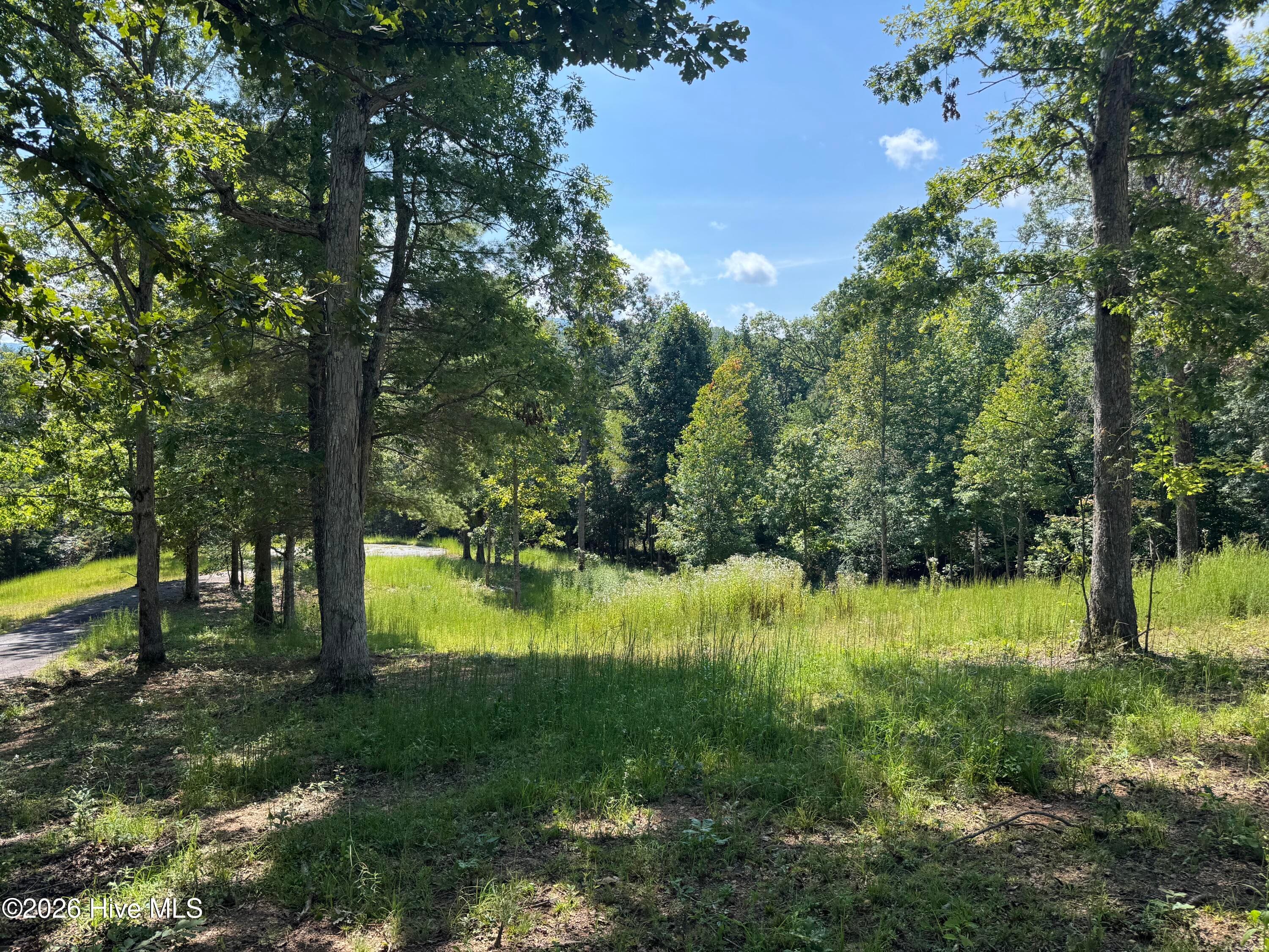 Residential Lot at 39 Spirit Bear Drive, Murphy, NC 28906, photo 12 of 18
