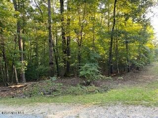 Residential Lot at 91a Palomino Road, Carthage, NC 28327, photo 4 of 6