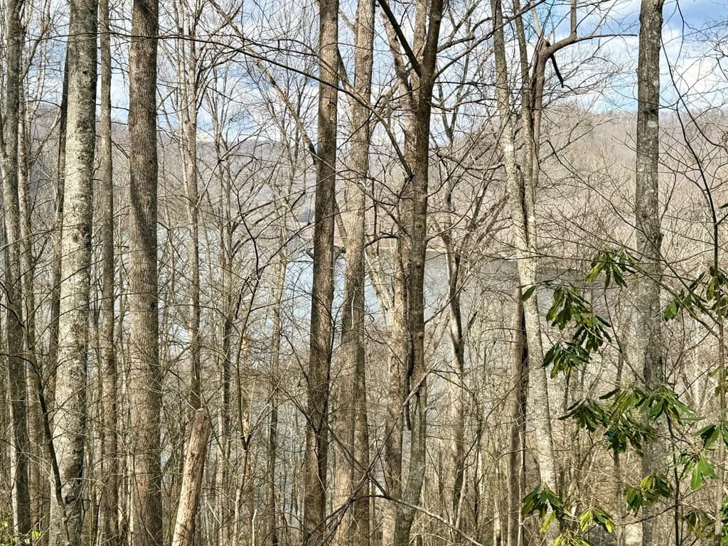 Residential Lot at Lot #12 12 Lake Vista Circle, Topton, NC 28781, photo 7 of 8