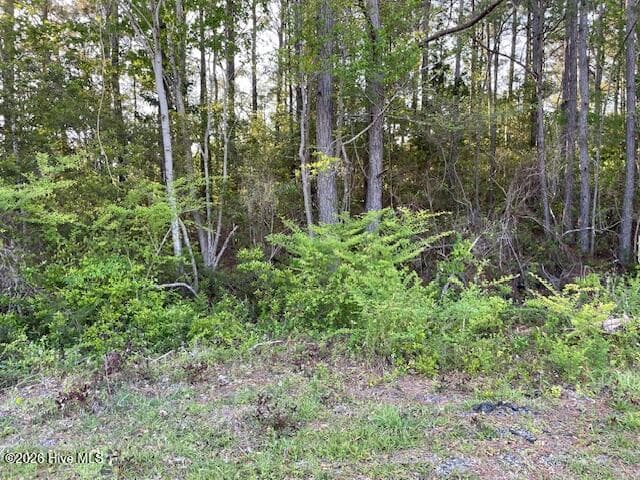 4795 Acres Lane SE, Southport, NC 28461