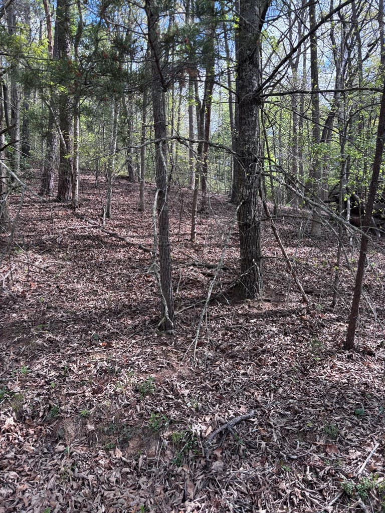 Land at 140 Hounds Run Lane, Murphy, NC 28906, photo 2 of 3