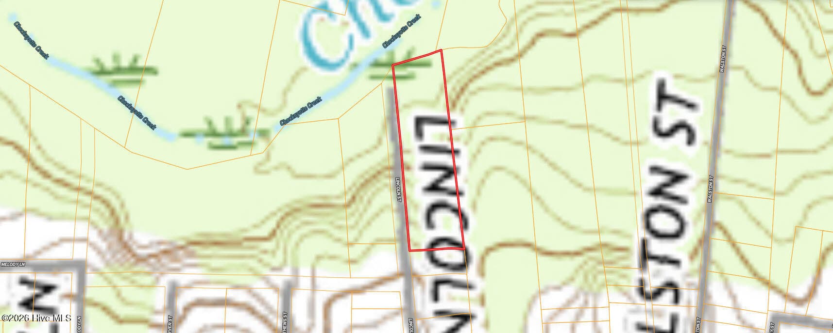 Undeveloped at 0 Lincoln Street, Roanoke Rapids, NC 27870, photo 7 of 7