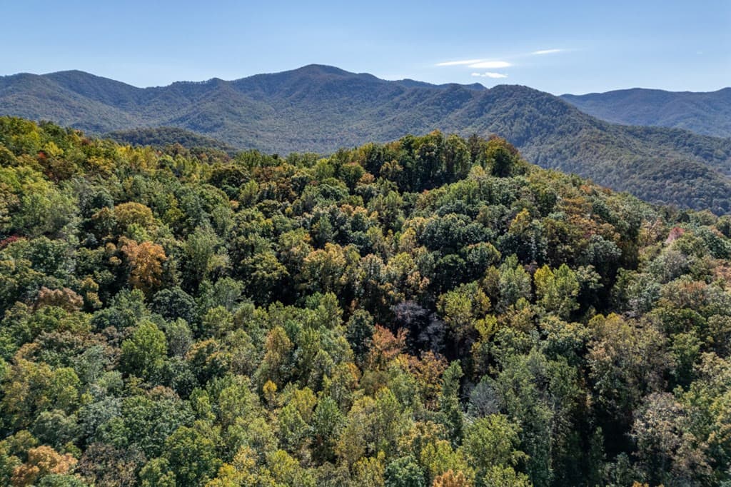 Undeveloped at Lot 38 38 Skyview At Wildlife Acres, Hayesville, NC 28904, Hayesville, photo 2 of 32