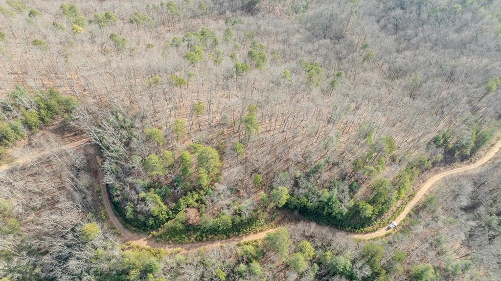 Land at 2.57 Scottie Mountain Circle, Murphy, NC 28906, photo 8 of 11