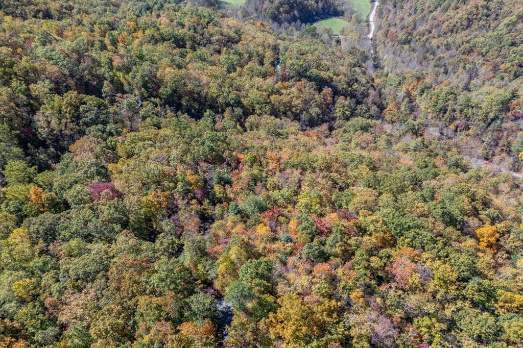 Undeveloped at Lot 38 38 Skyview At Wildlife Acres, Hayesville, NC 28904, Hayesville, photo 31 of 32