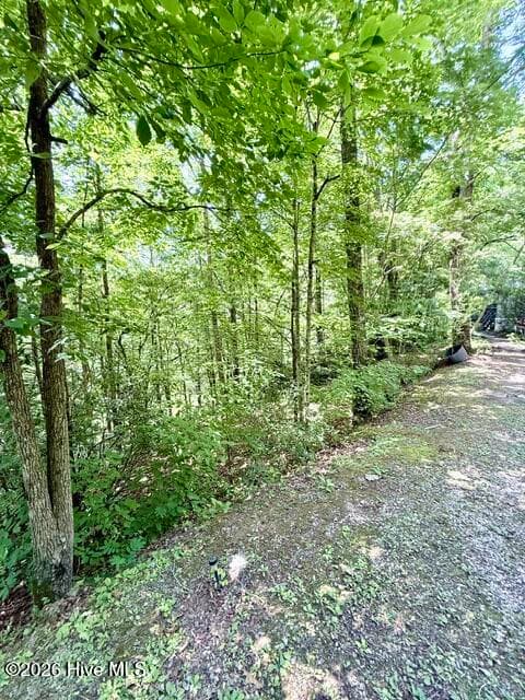 Manufactured Home at 89 Dog Hollow Hollow, Robbinsville, NC 28771, photo 21 of 22