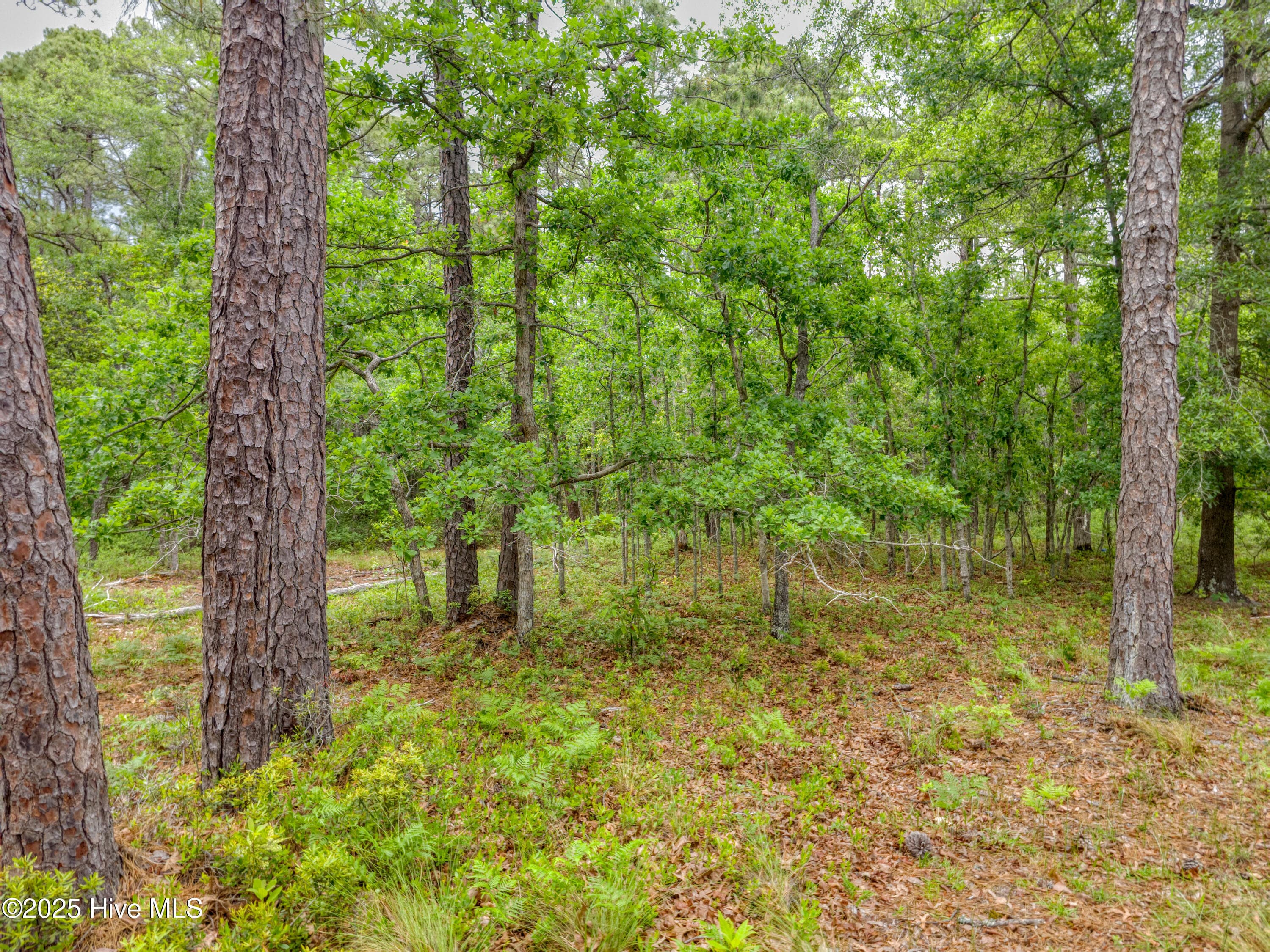 Residential Land at 2302 304 Caracara Drive, New Bern, NC 28560, photo 4 of 6