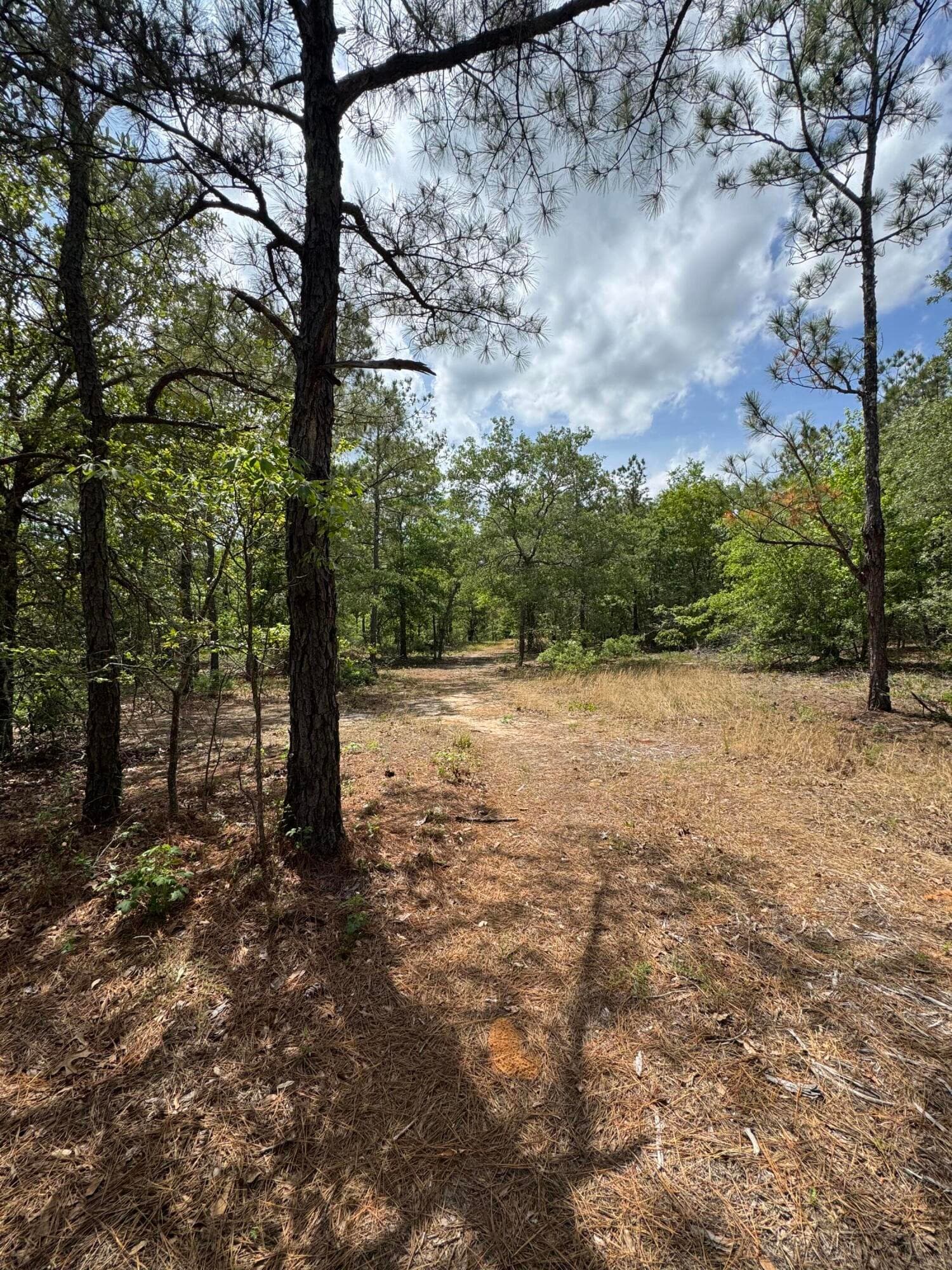 Undeveloped at 745 Wright Allen Road, Blythe, GA 30805, photo 15 of 18